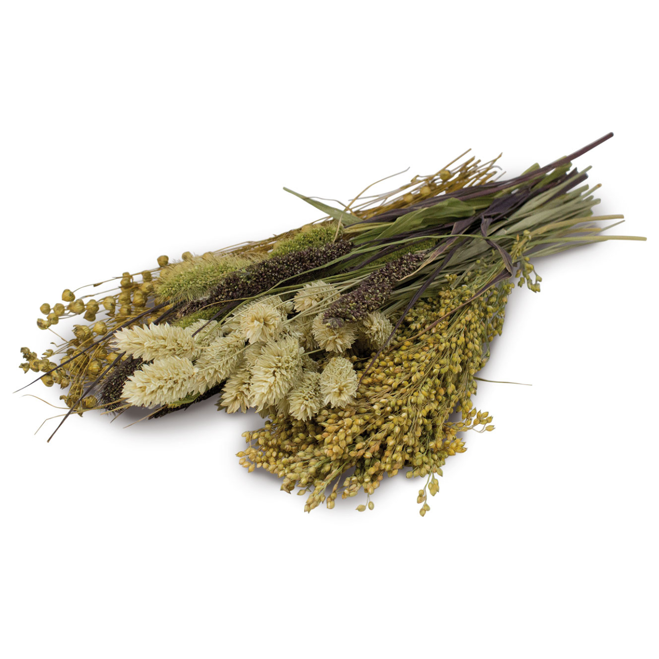 JR FARM Knabber-Potpourri 50g