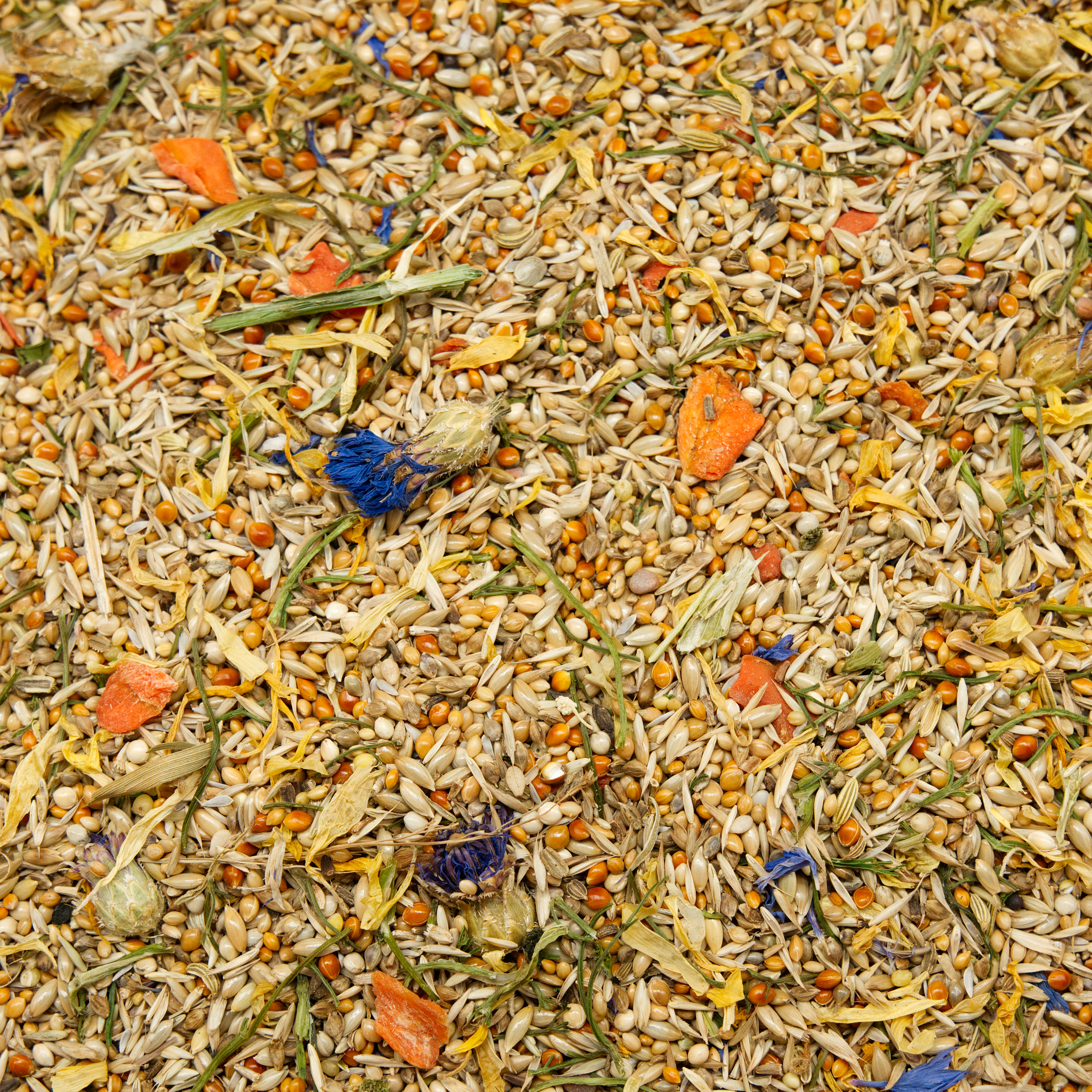 premium_mischung_wellensittichfutter_koernerbude