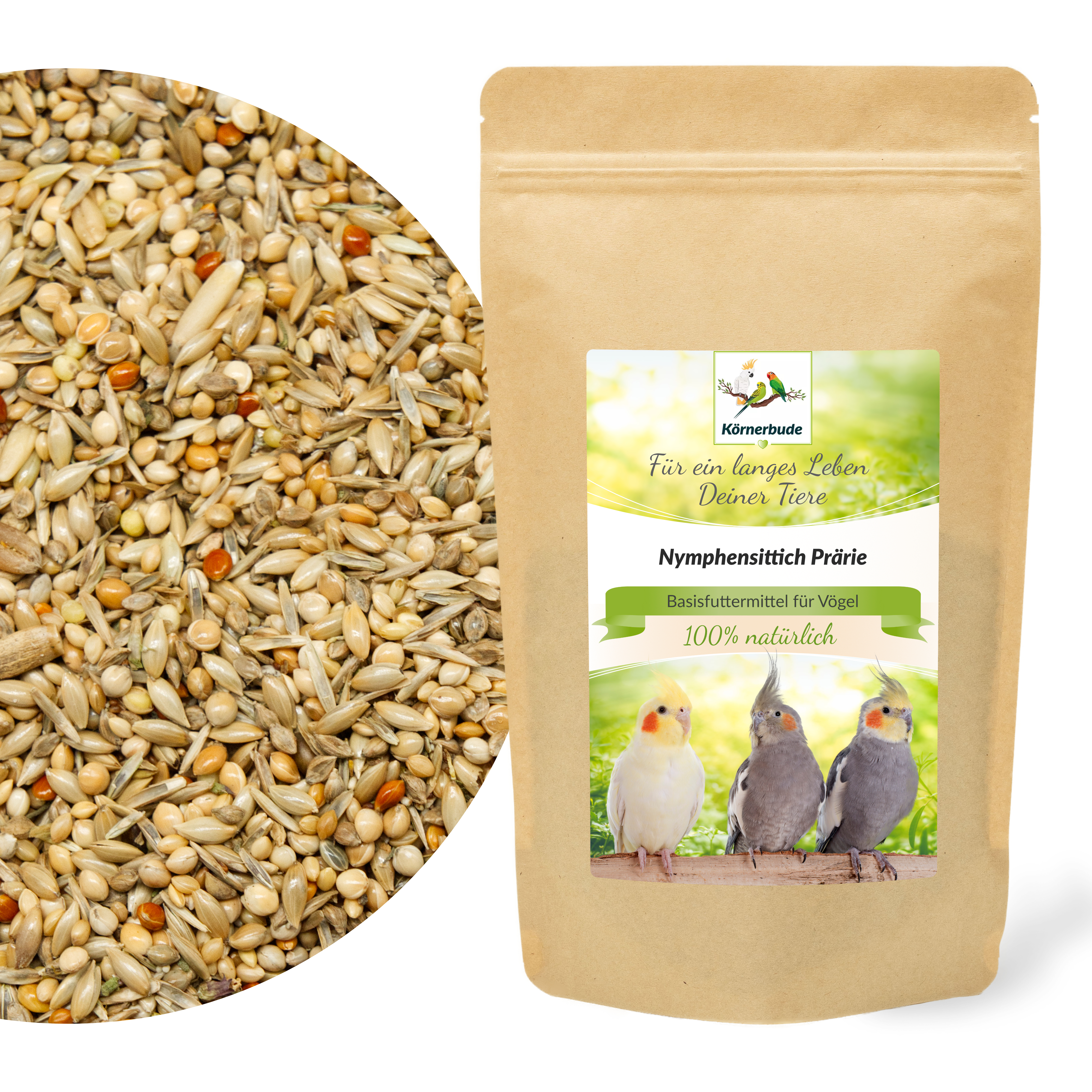 Nymphensittich Prärie