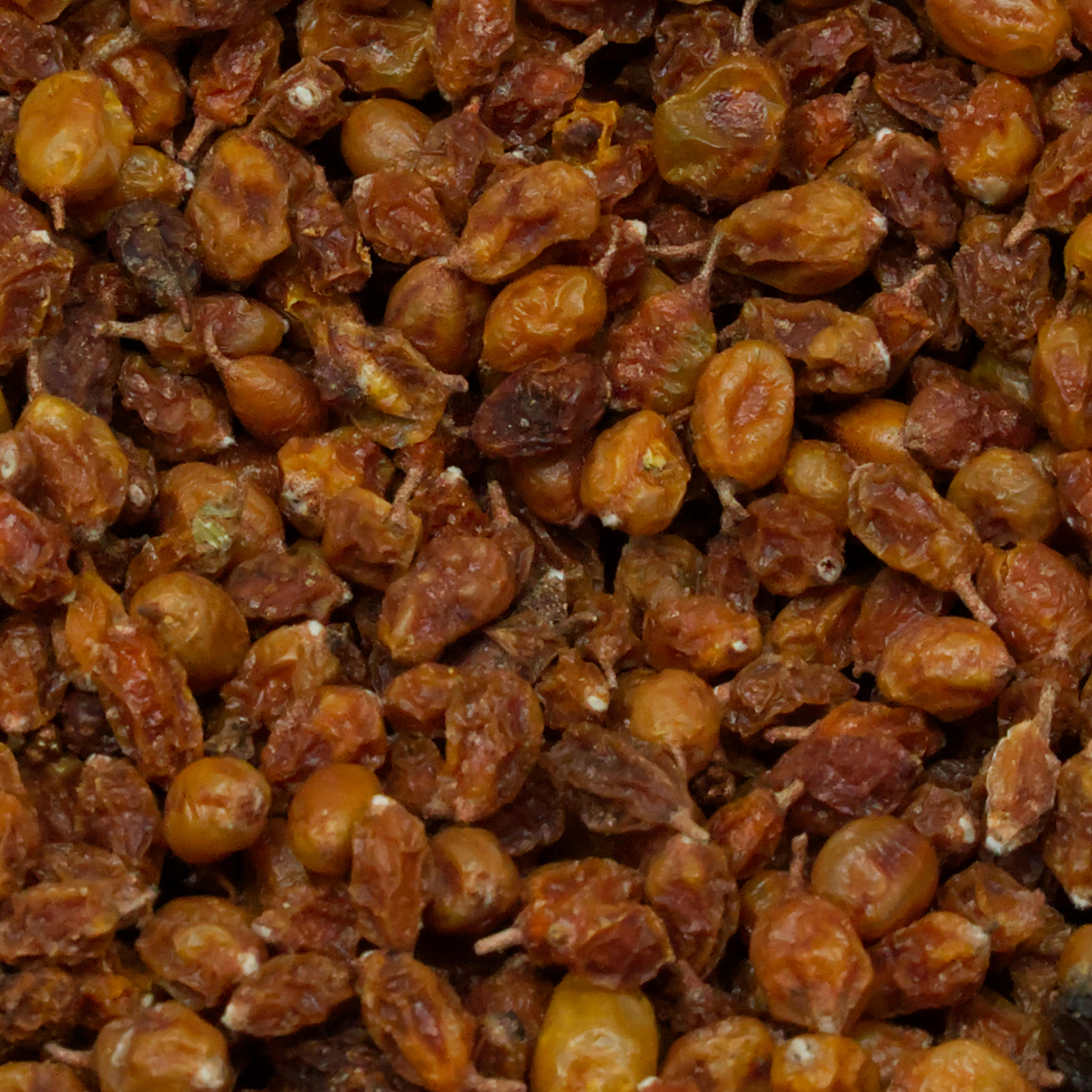 sanddorn-einzelfutter-koernerbude-voegel1 Sanddornbeeren