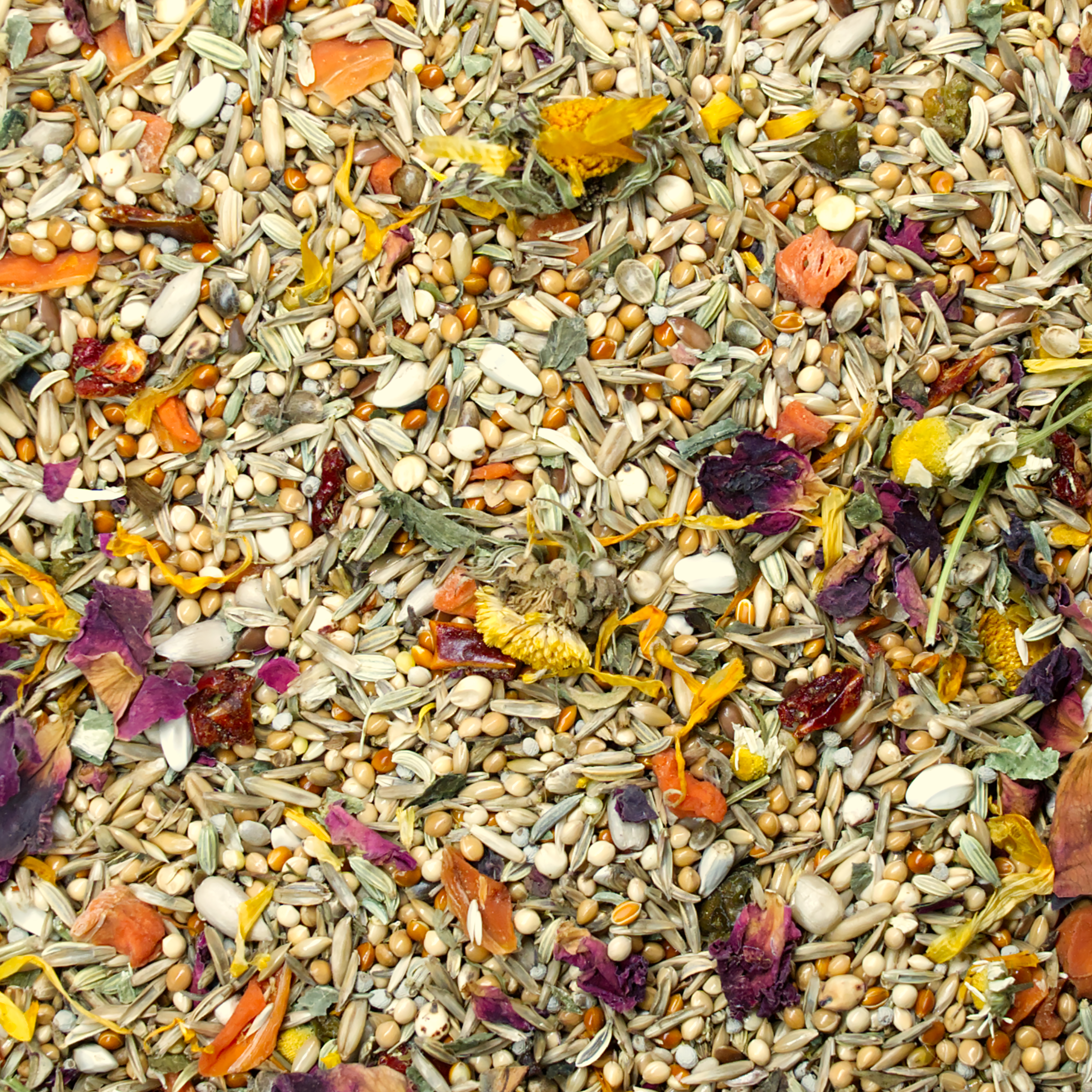 grosssittich-kleinpapagei-premium-mischung-nah-vogelfutter-2