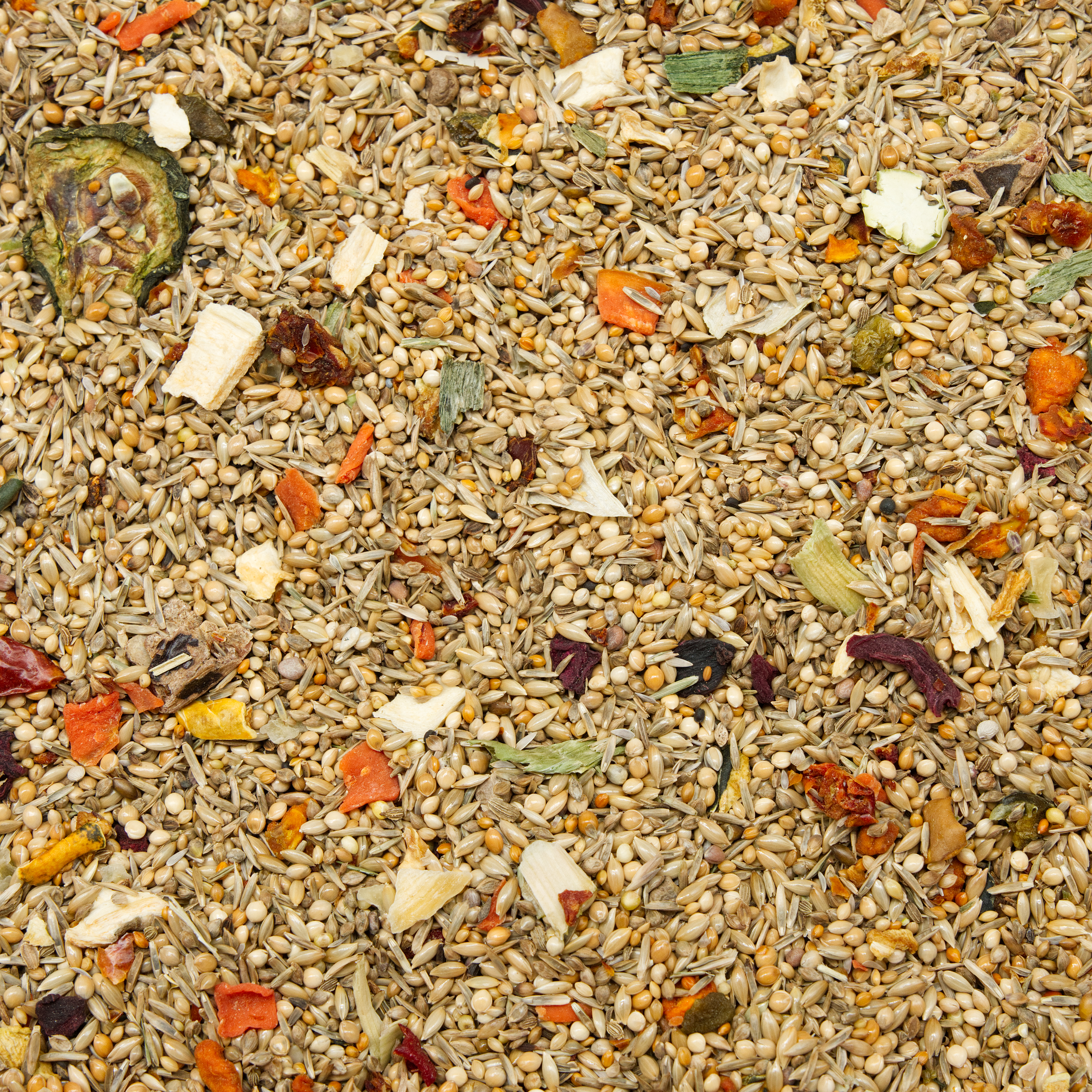 nymphensittich_gemuese_koernerbude_nymphensittichfutter Mischung Gemüse Nymphensittiche