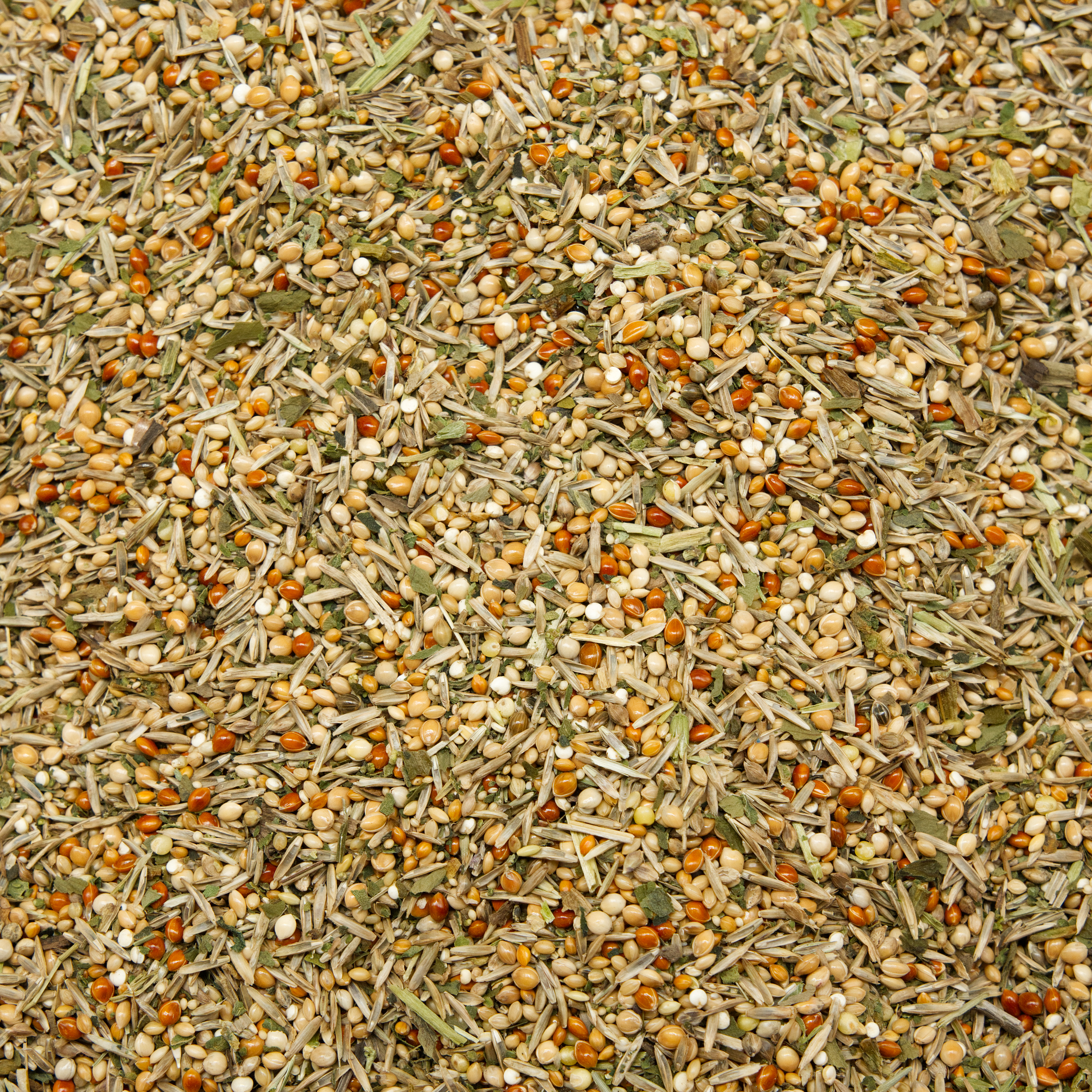 wellensittich_sensitiv_wellensittichfutter_koernerbude Wellensittich Sensitive 500g