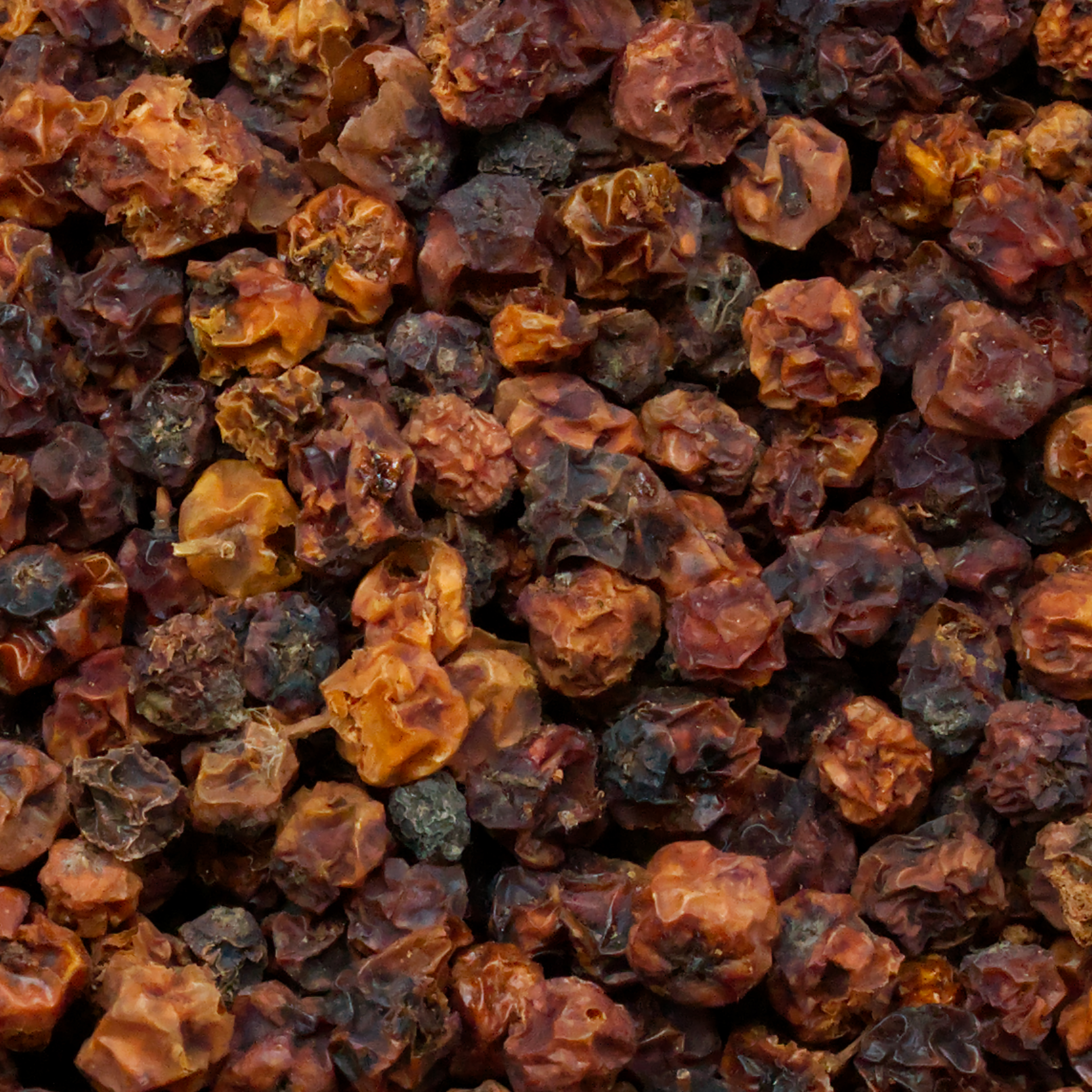 erbeschenbeeren-einzelfutter-koernerbude-voegel1 Ebereschenbeeren