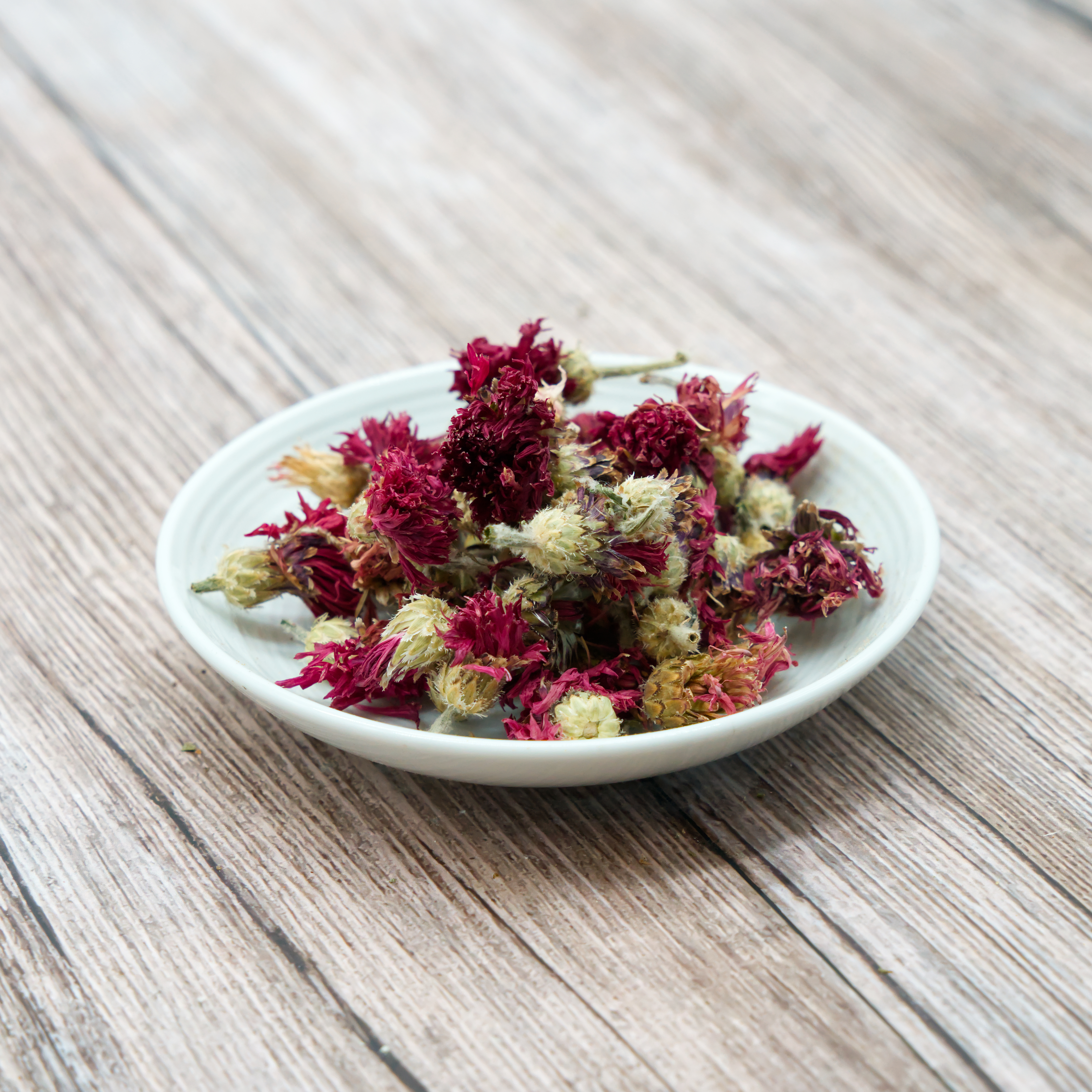 kornblumen-rot-einzelfutter-fuer-voegel-koernerbude Kornblumenblüten mit Kelch, rot