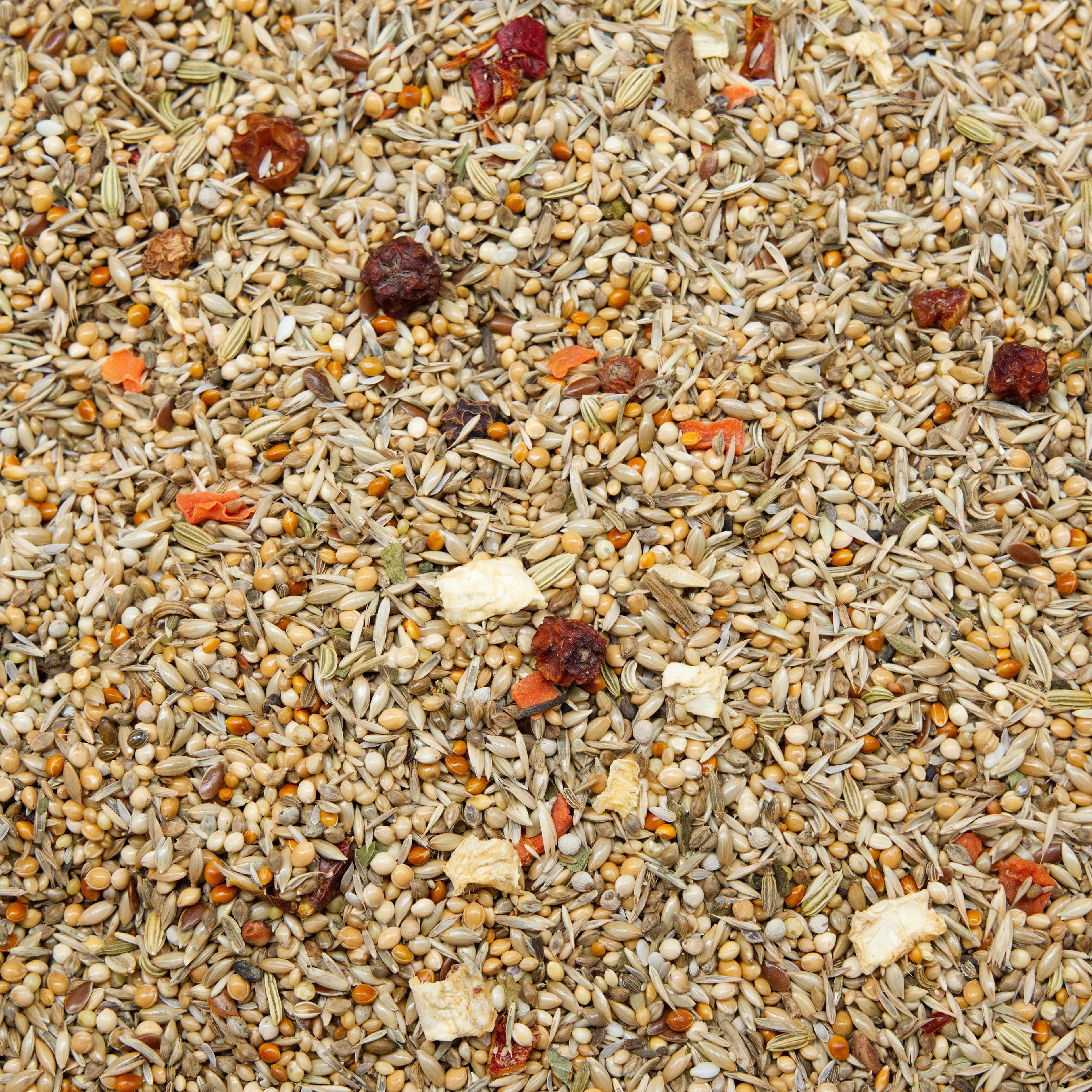 grundmischung_sperlingspapageien_sperlingspapageienfutter_koernerbude