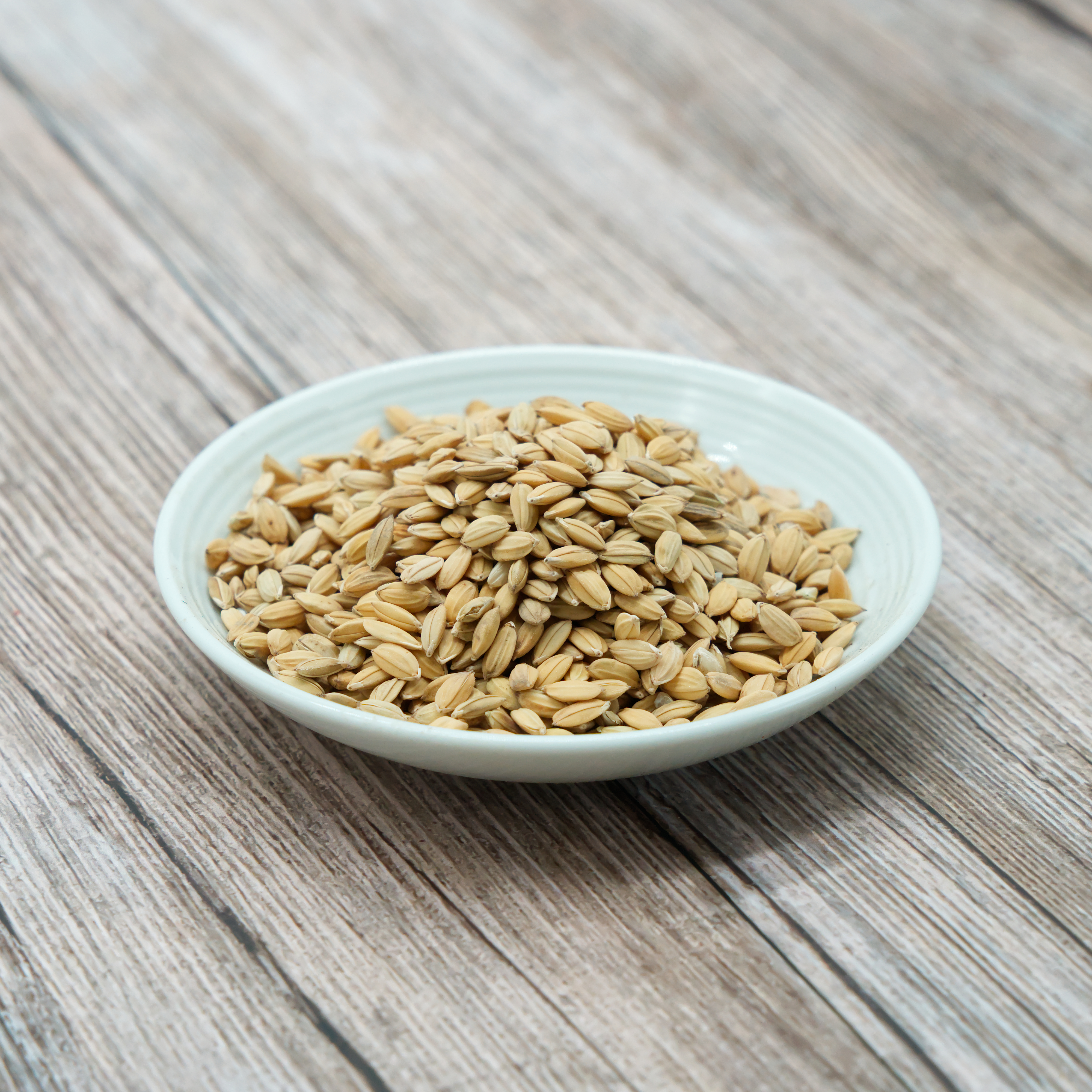 paddy-reis-naturmix-einzelfutter-fuer-v-gel-koernerbude