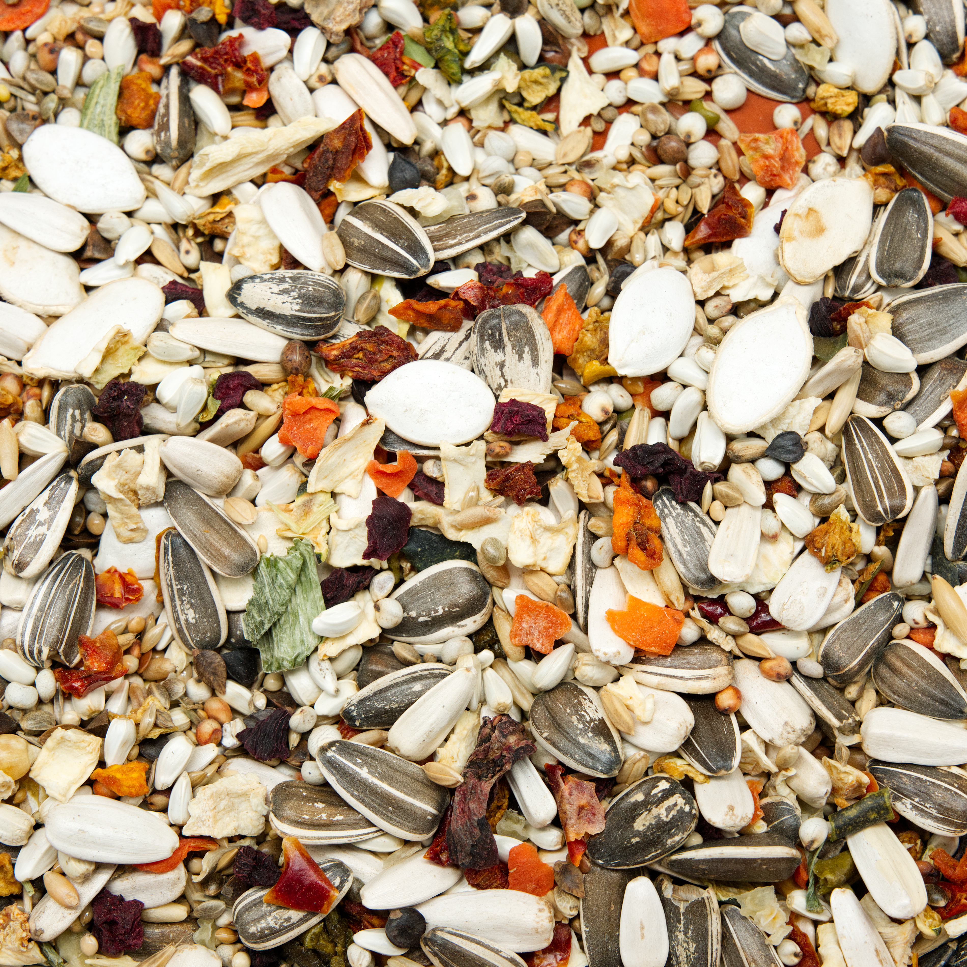 papageien_variant_gemuese_paapgeienfutter_amazonen_graupapageien_koernerbude