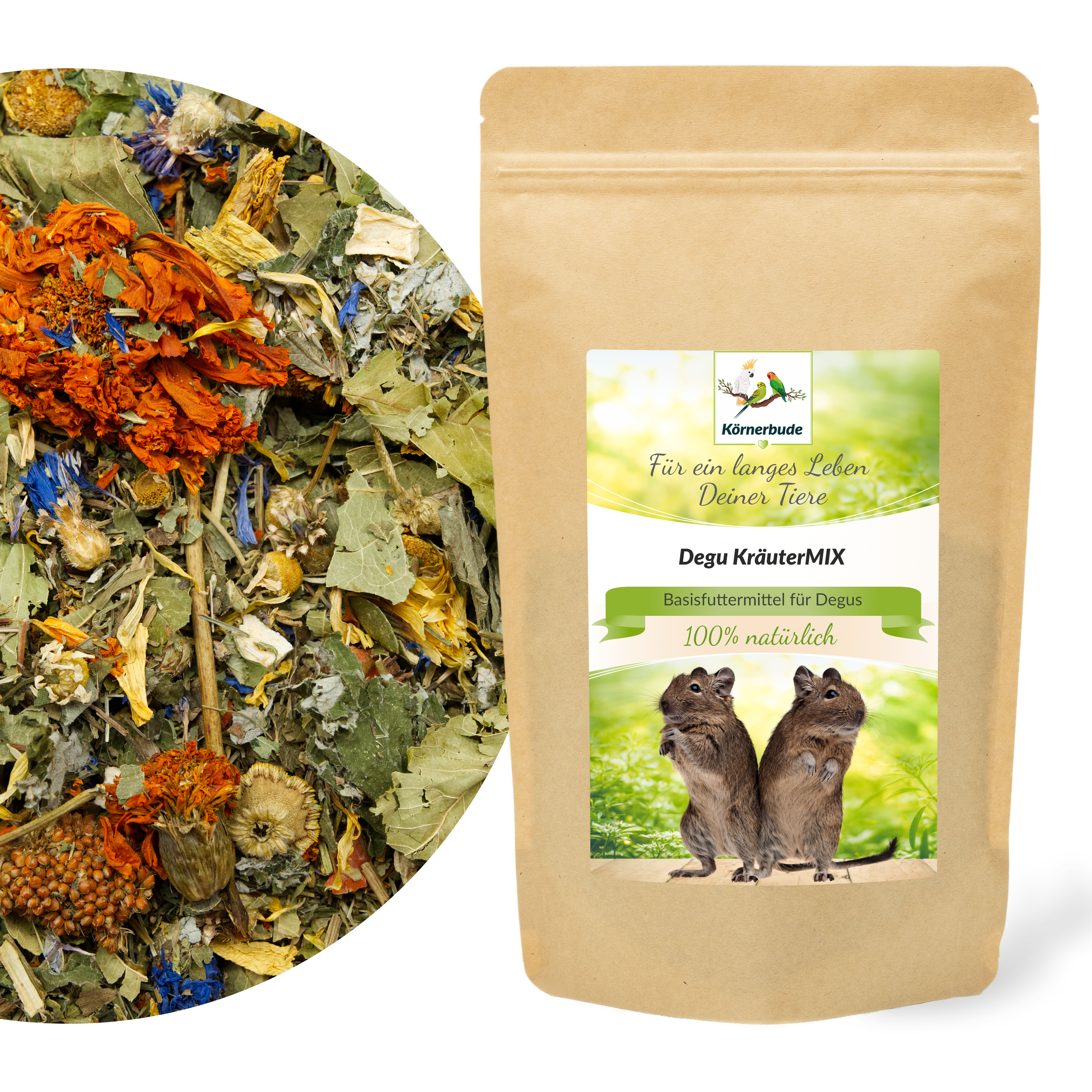 degu_kr-eutermix_degufutter_koernerbudeyRPc2DlNJkMq1 Degu KräuterMIX
