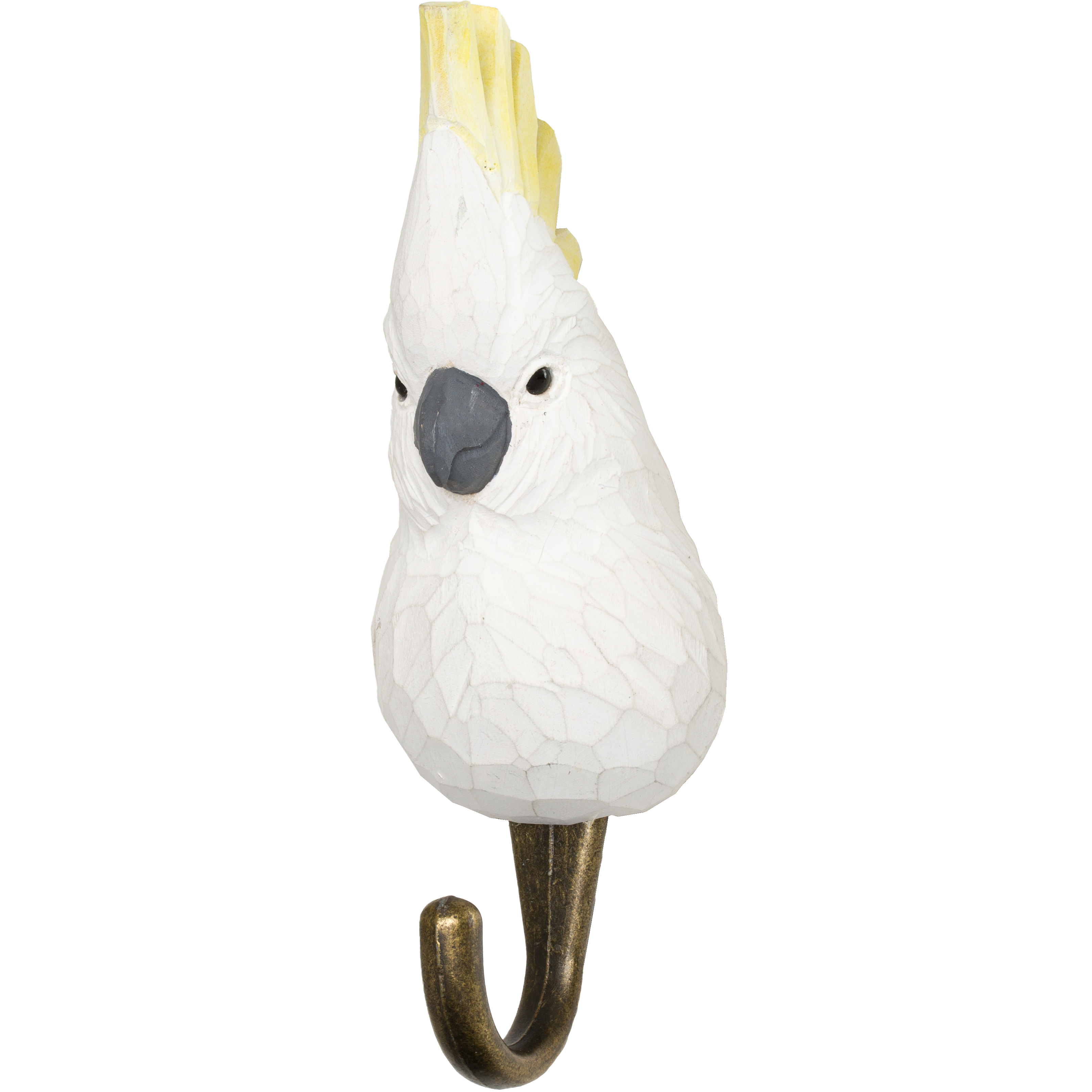 WG4529_Hook_Cockatoo_Angle_HighRes
