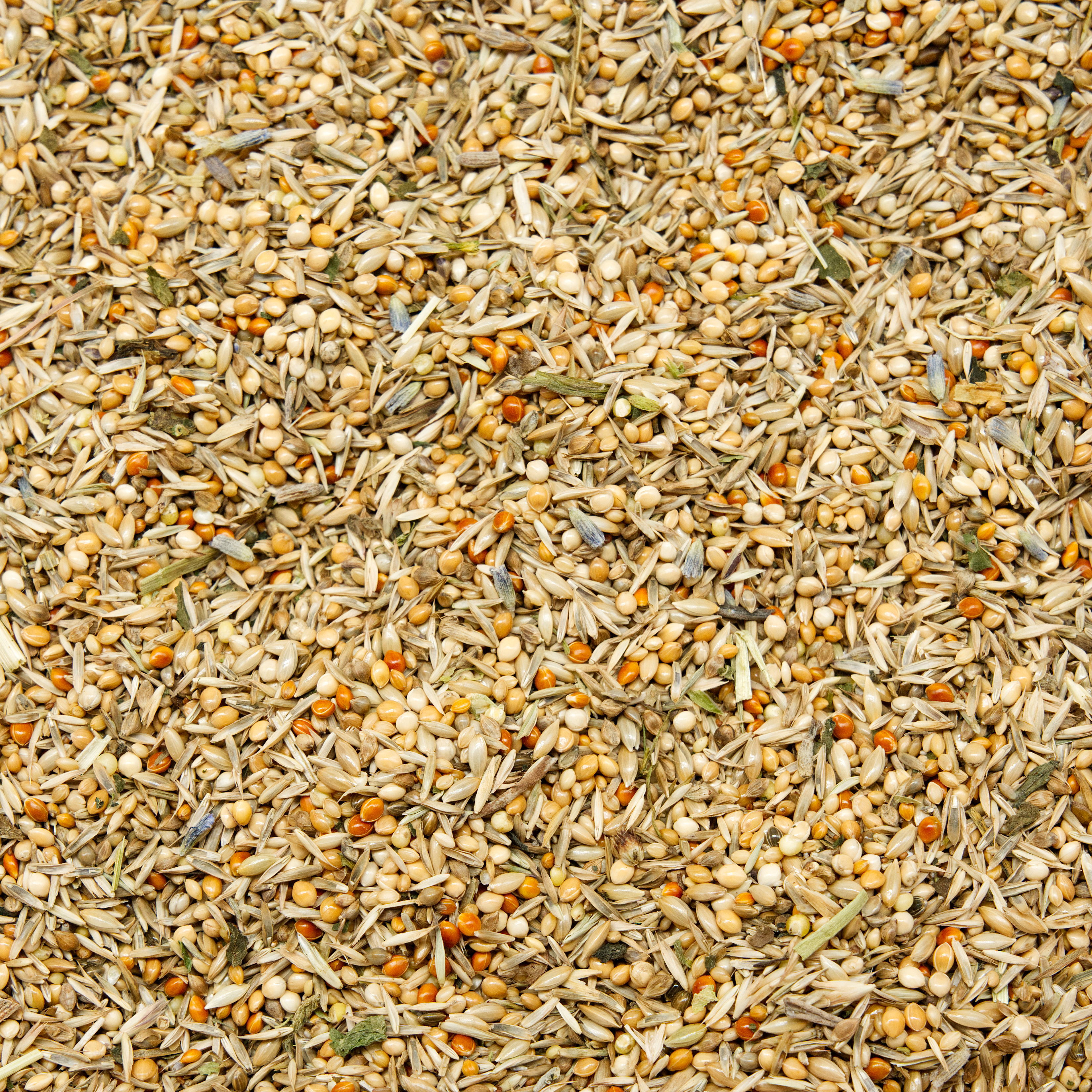 wiesentraum_wellensittichfutter_koernerbude