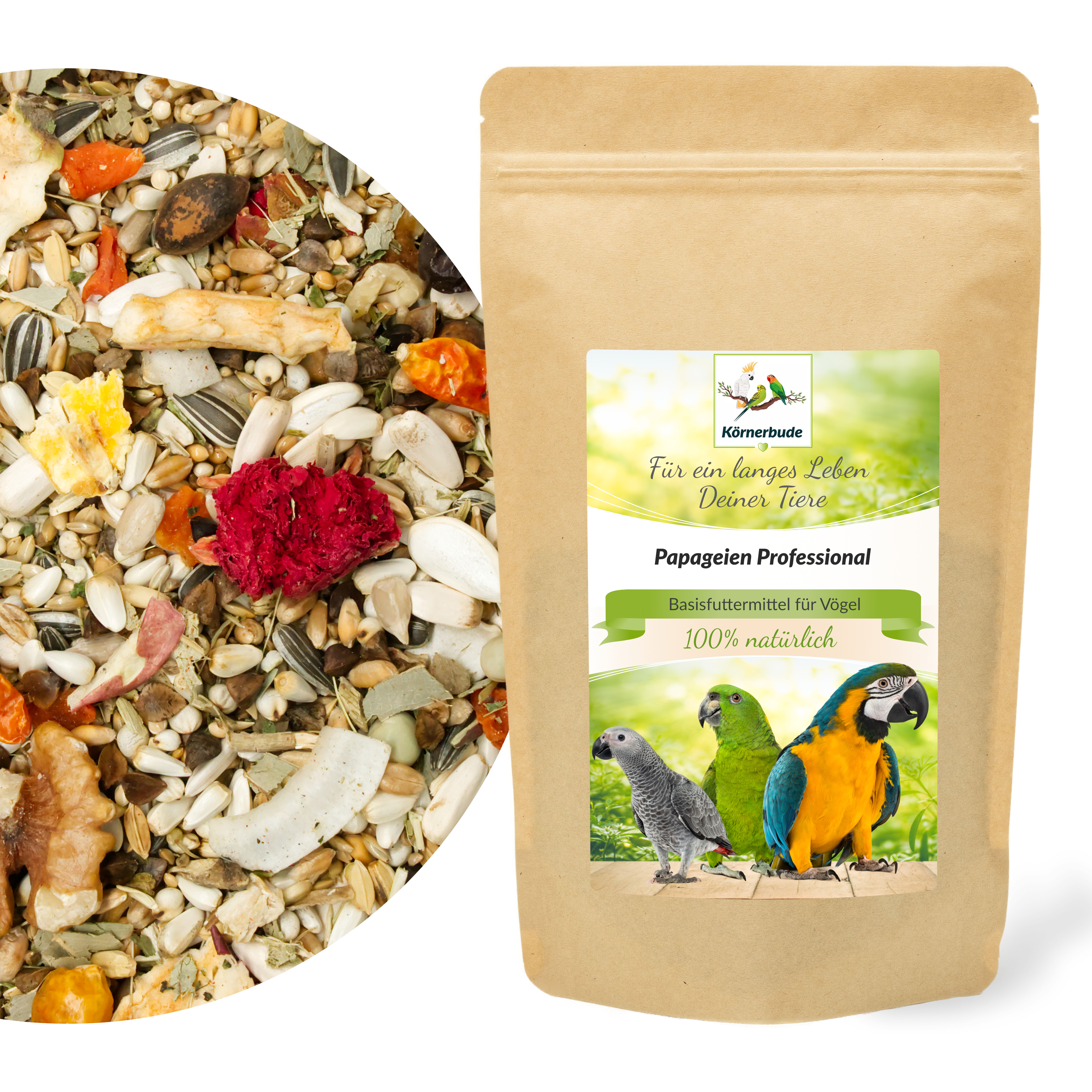 Papageien Professional