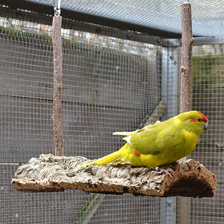 Kork-Schaukel, groß 30 x 12 x 25 cm