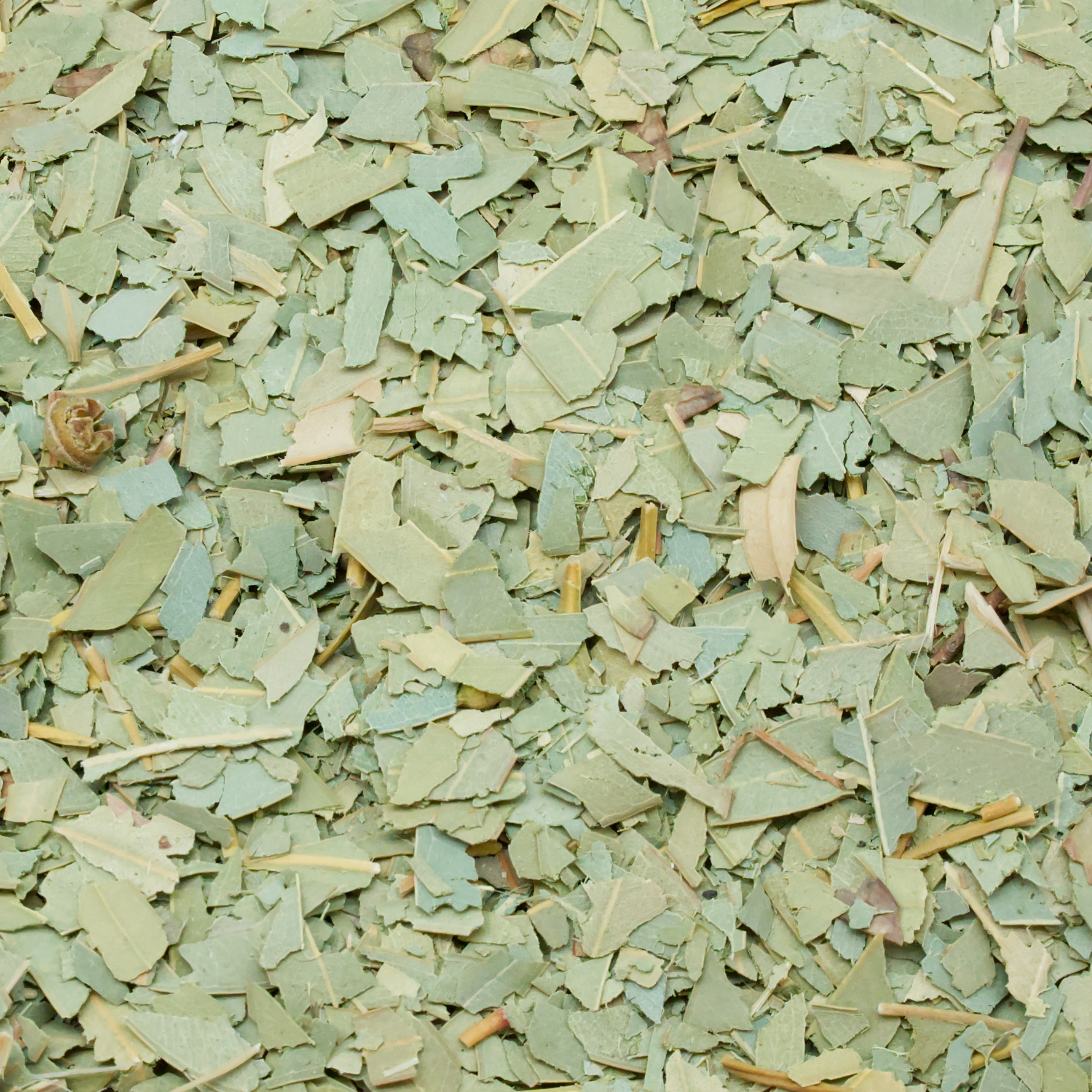 Eukalyptusblätter getrocknet geschnitten