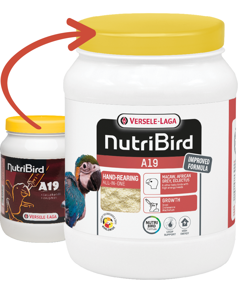 Nutri Bird A19 - 800g
