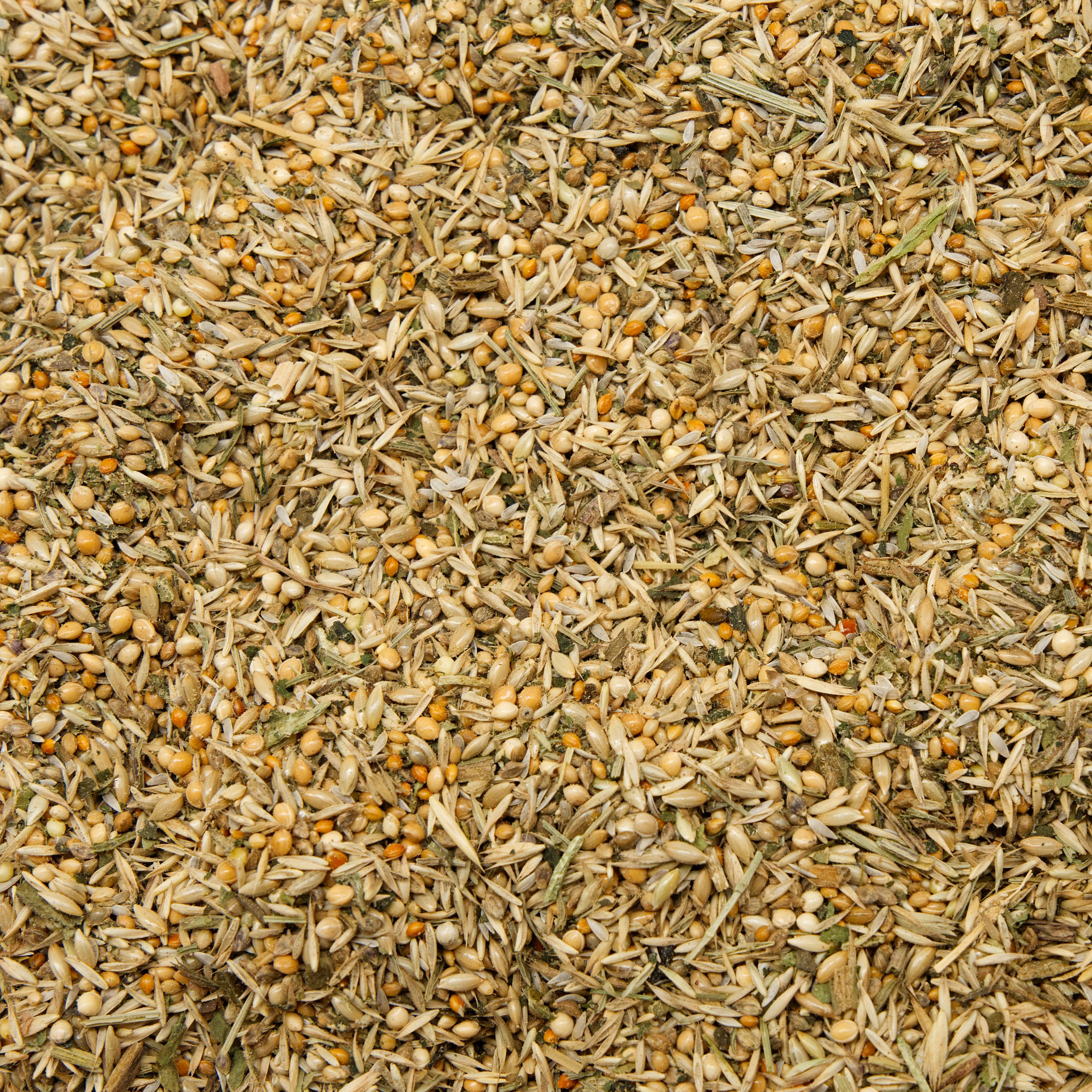 mischung_senior_wellensittichfutter_koernerbude