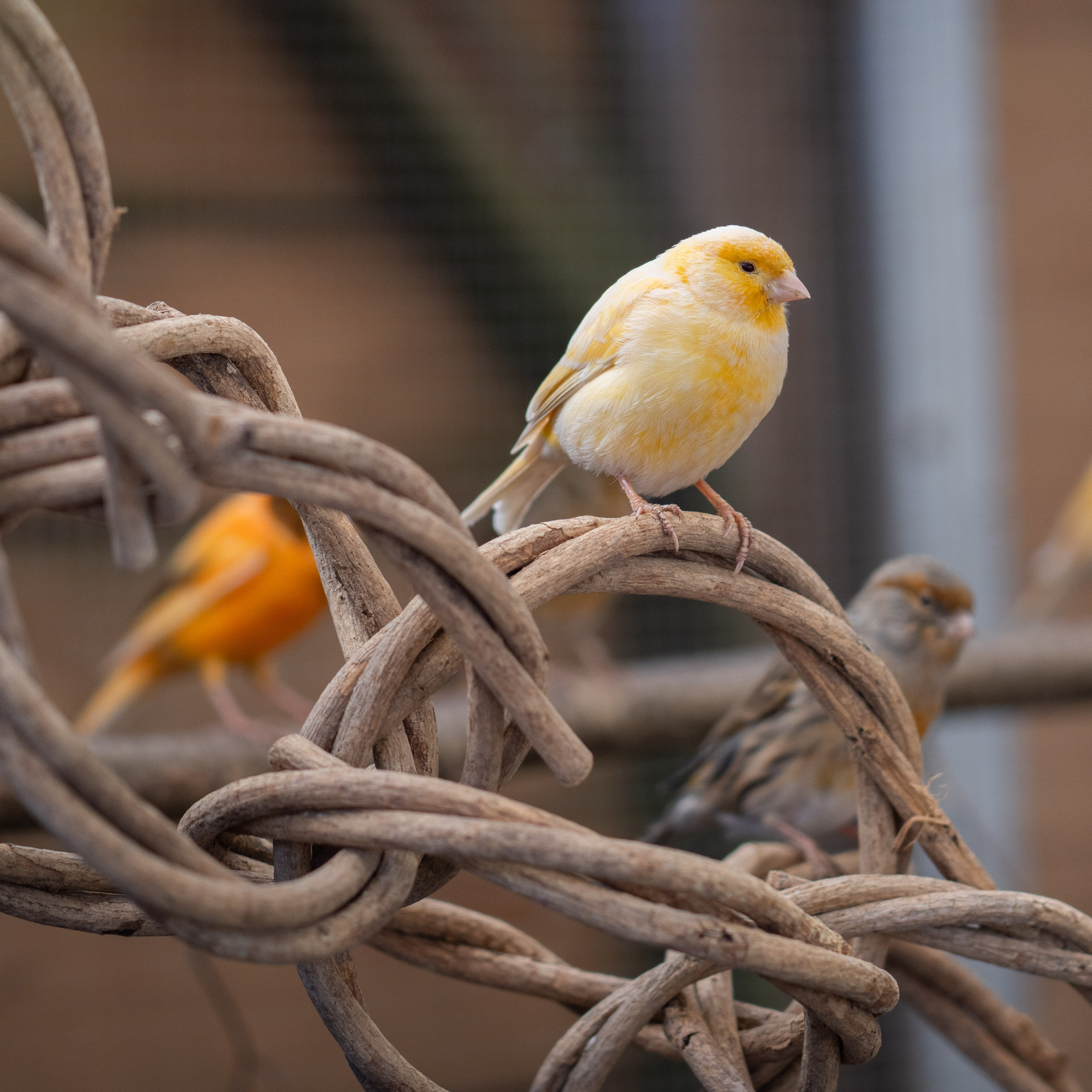 DSC0604070PtxwVK5FkpW