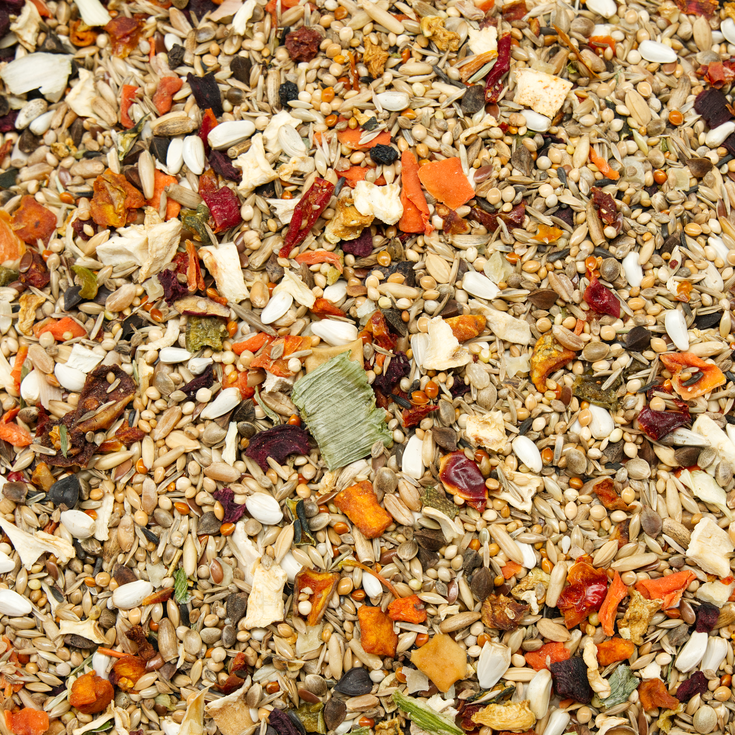 agapornidenfutter_gemuese_koernerbude Agaporniden Gemüse