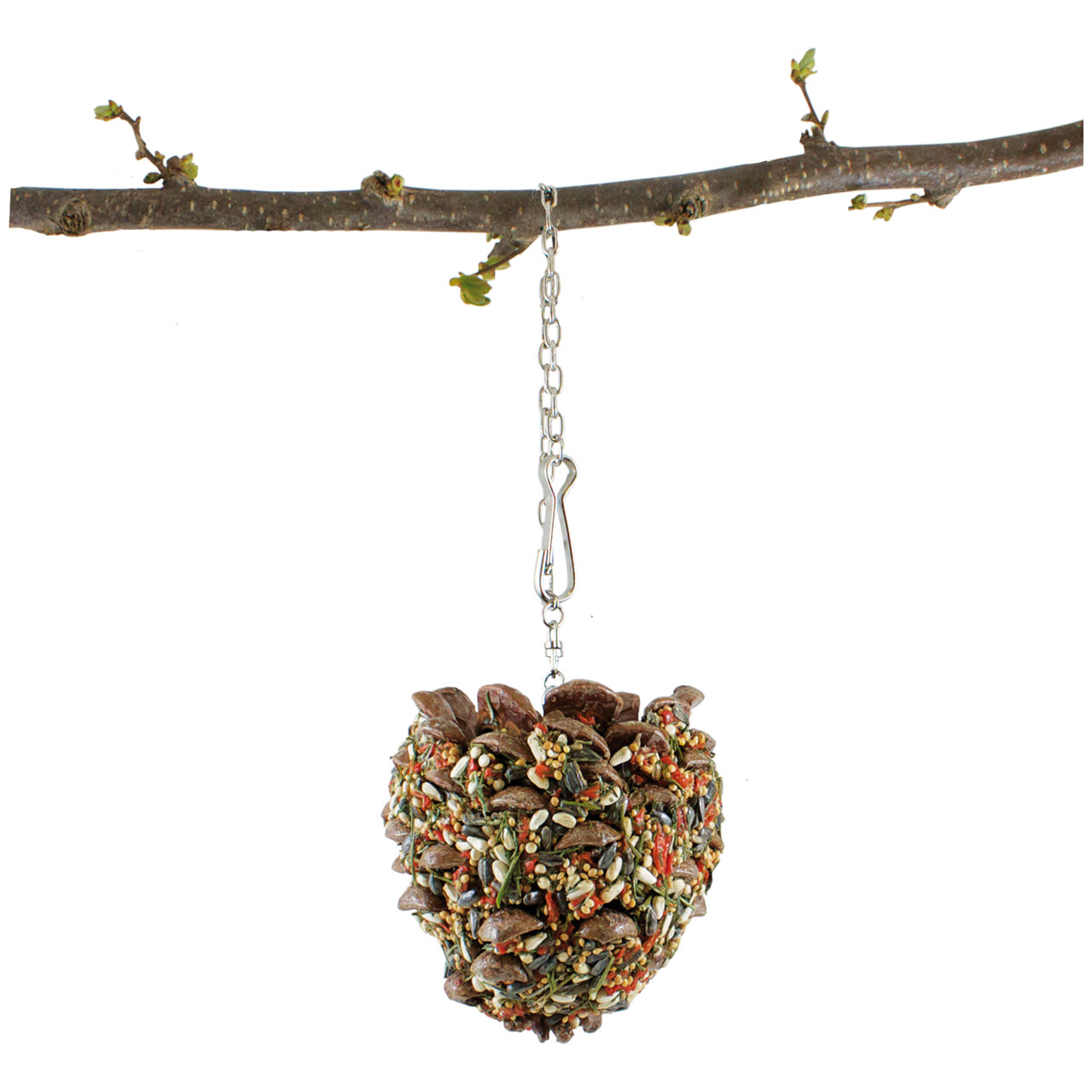 07037_2_JR_FARM_Schlemmer-Zapfen_Grosssittich_lose_Ast