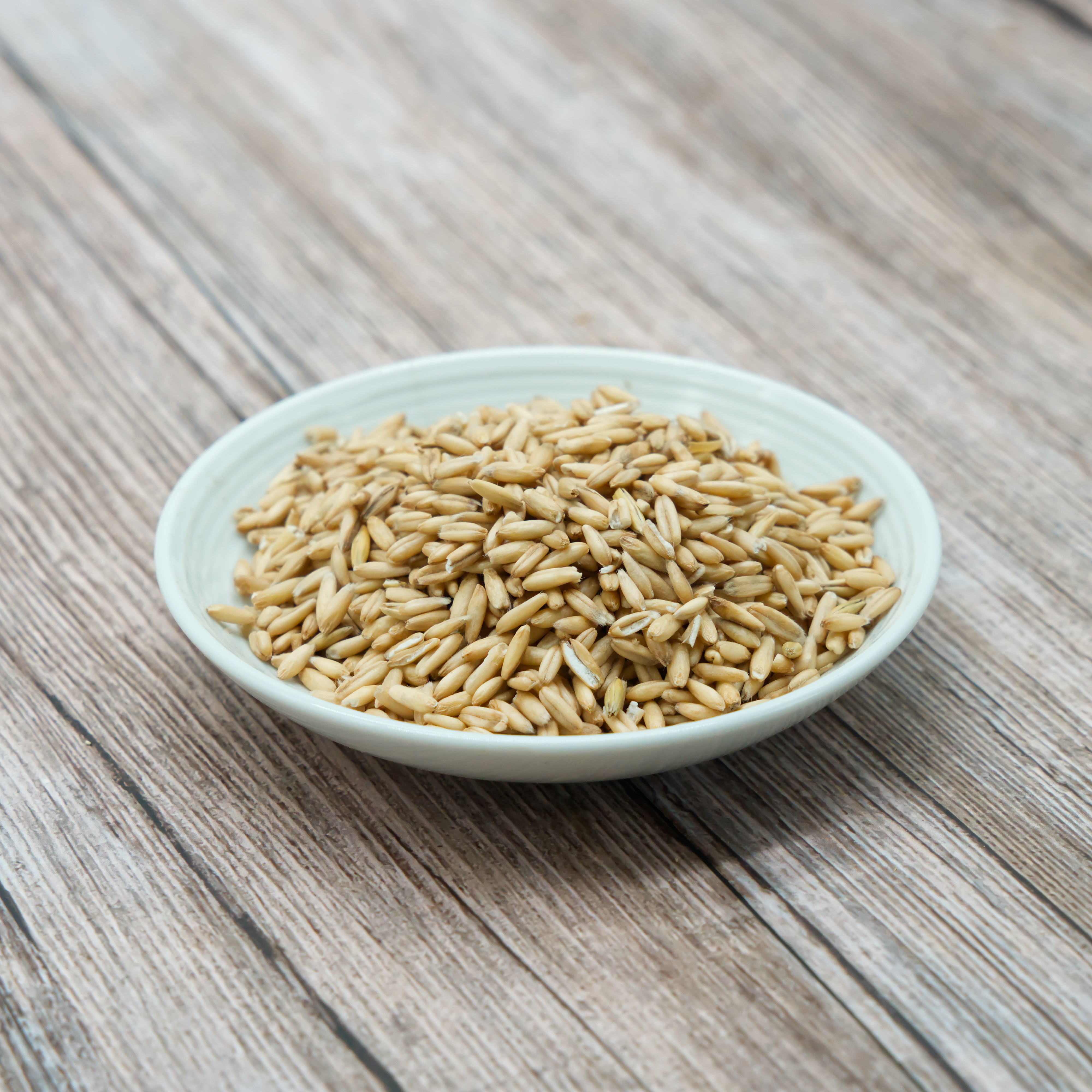 nackthafer-einzelfutter-fuer-v-gel-koernerbude Nackthafer