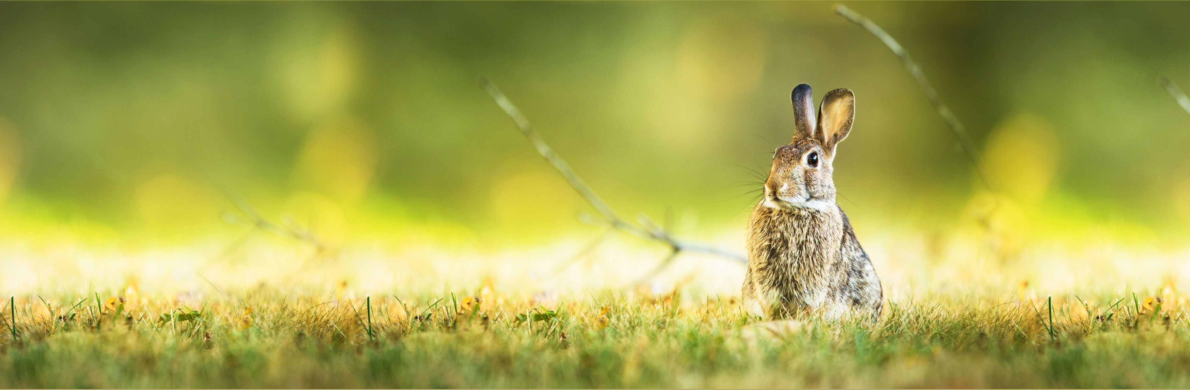 K-rnerbude_Futter_Fellnasen