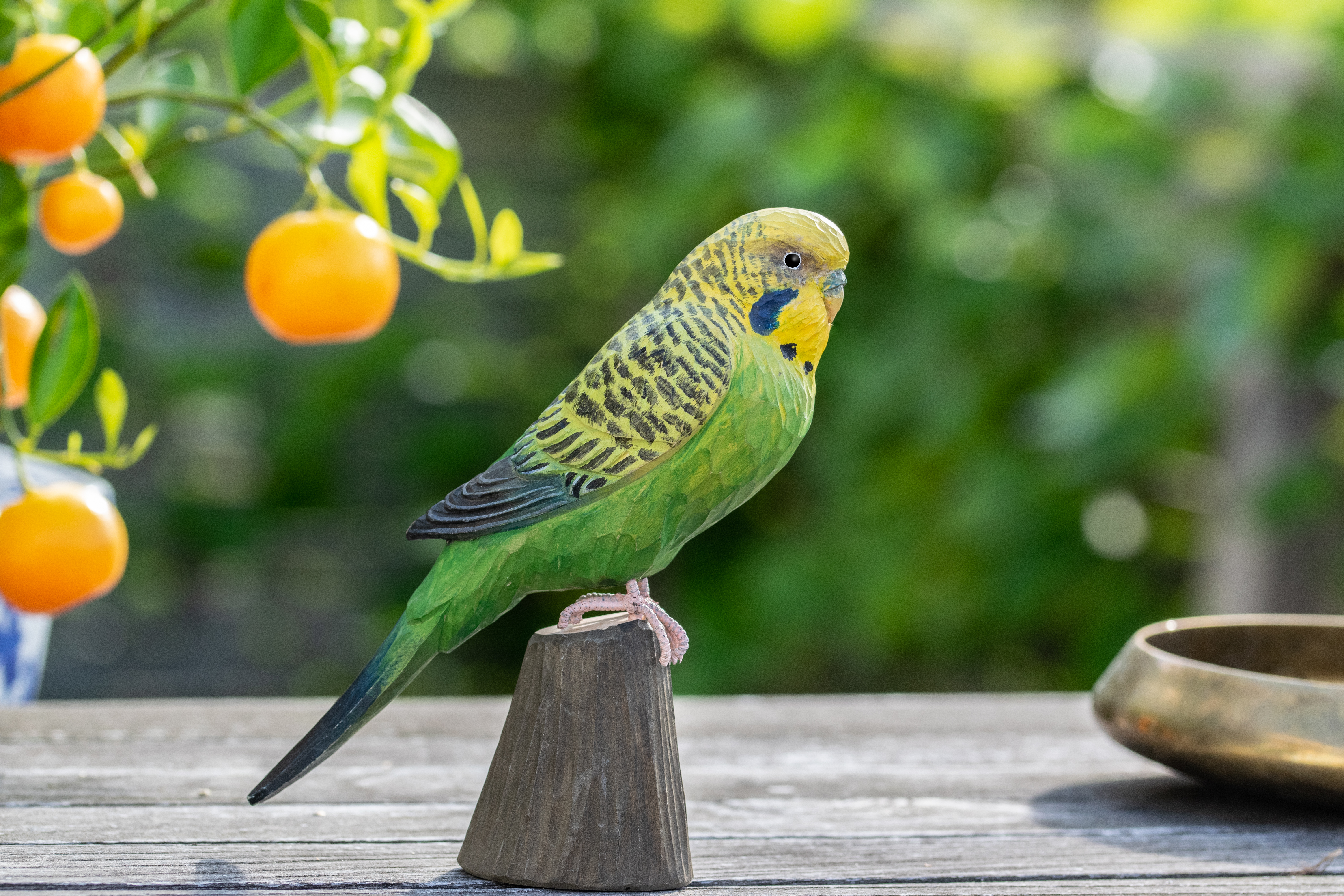 WG4810_Deco_Bird_Budgie_Milj-bild_Outside_High_Res_1-1JapGEKnab4QYR