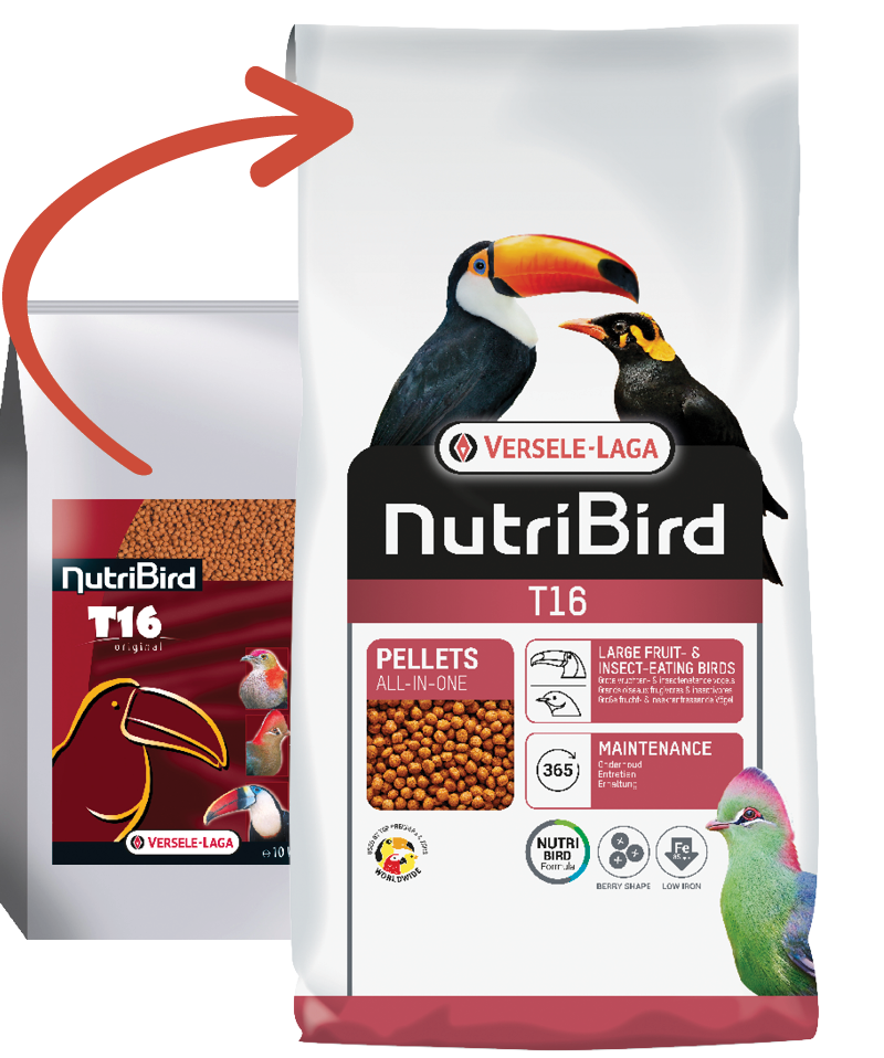 5410340221358pack Beo NutriBird T16