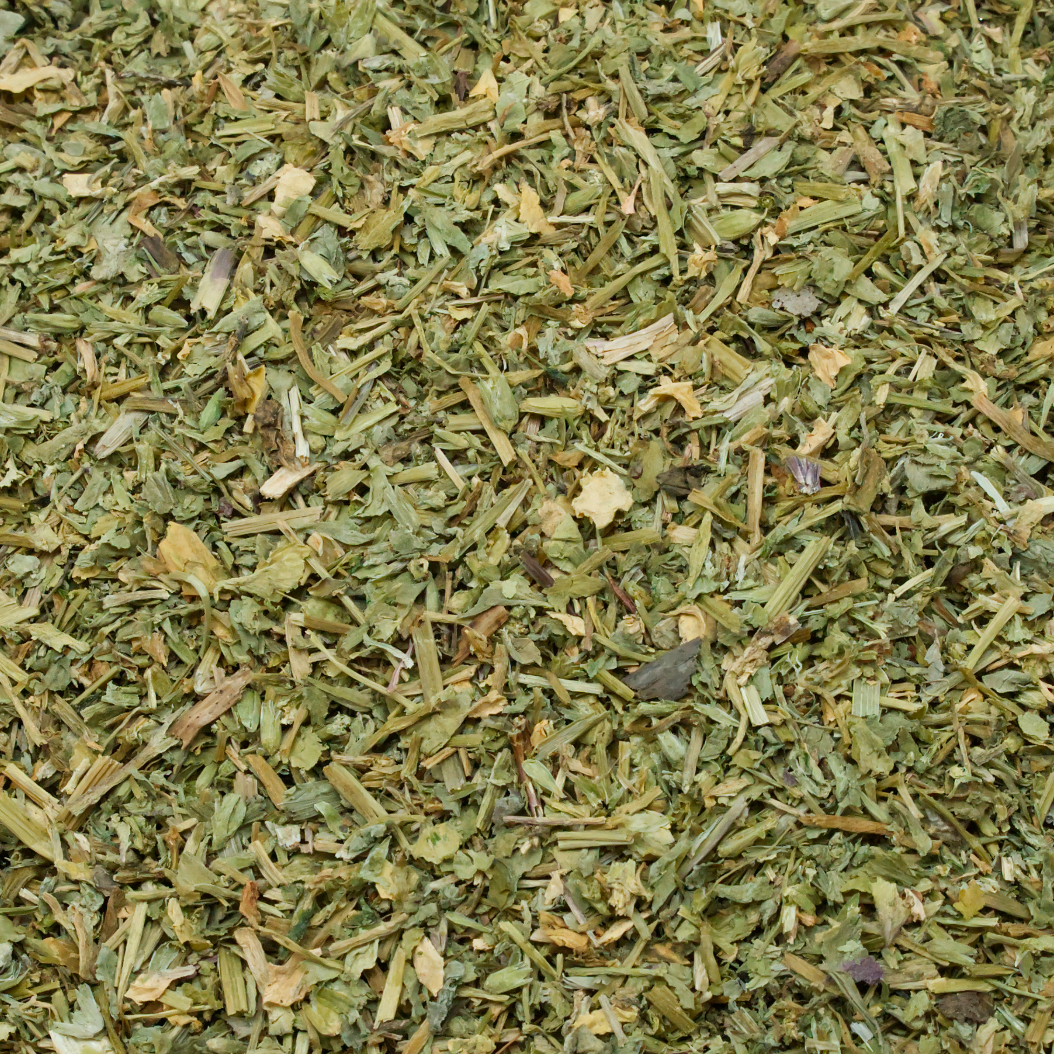 vogelmiere-einzelfutter-fuer-voegel-koernerbude1 Vogelmierekraut, geschnitten