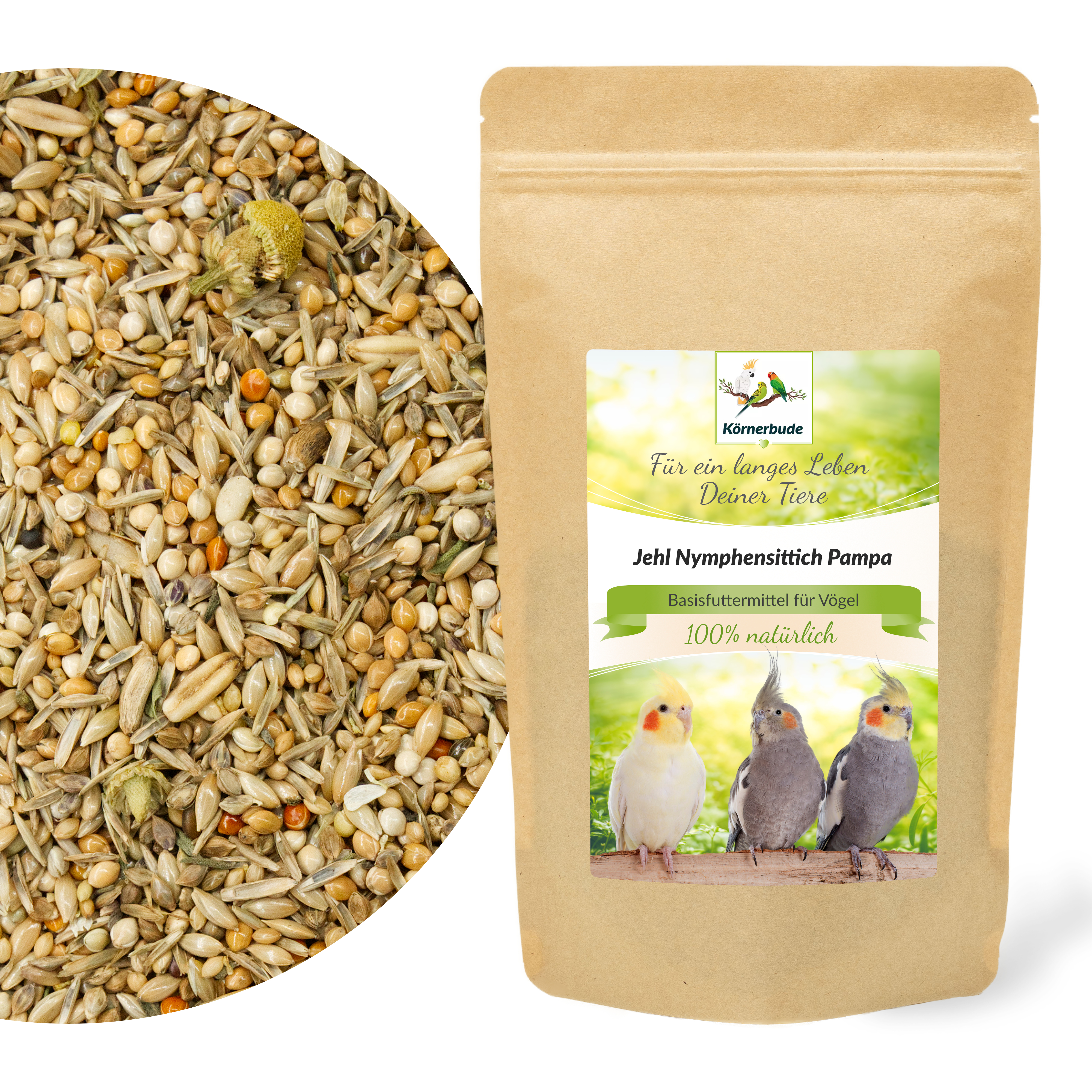 nymphensittich_pampa_nymphensittichfutter_koernerbude_shop Nymphensittich Pampa