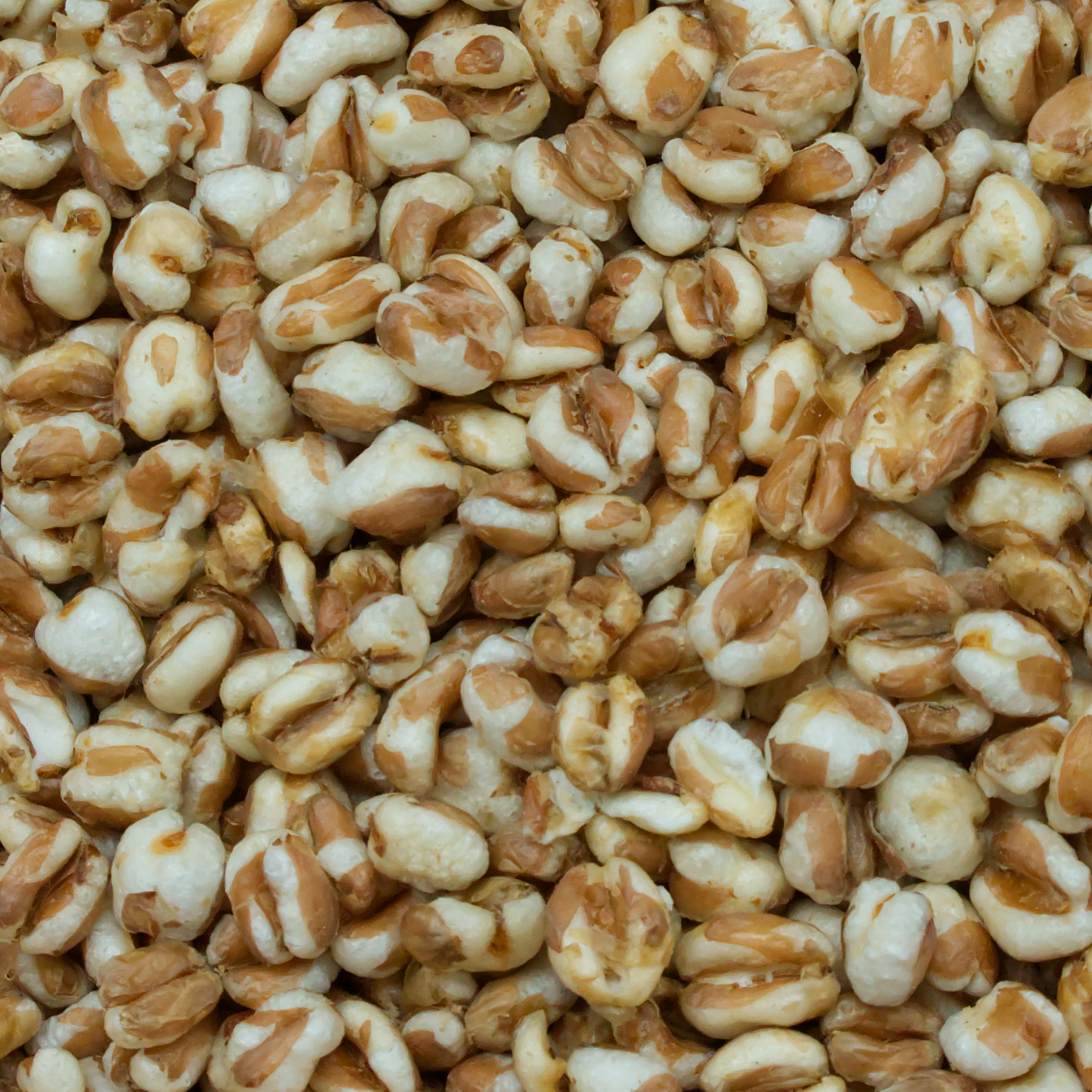 weizen-gepufft-einzelfutter-fuer-voegel-koernerbude1 Weizen, gepufft