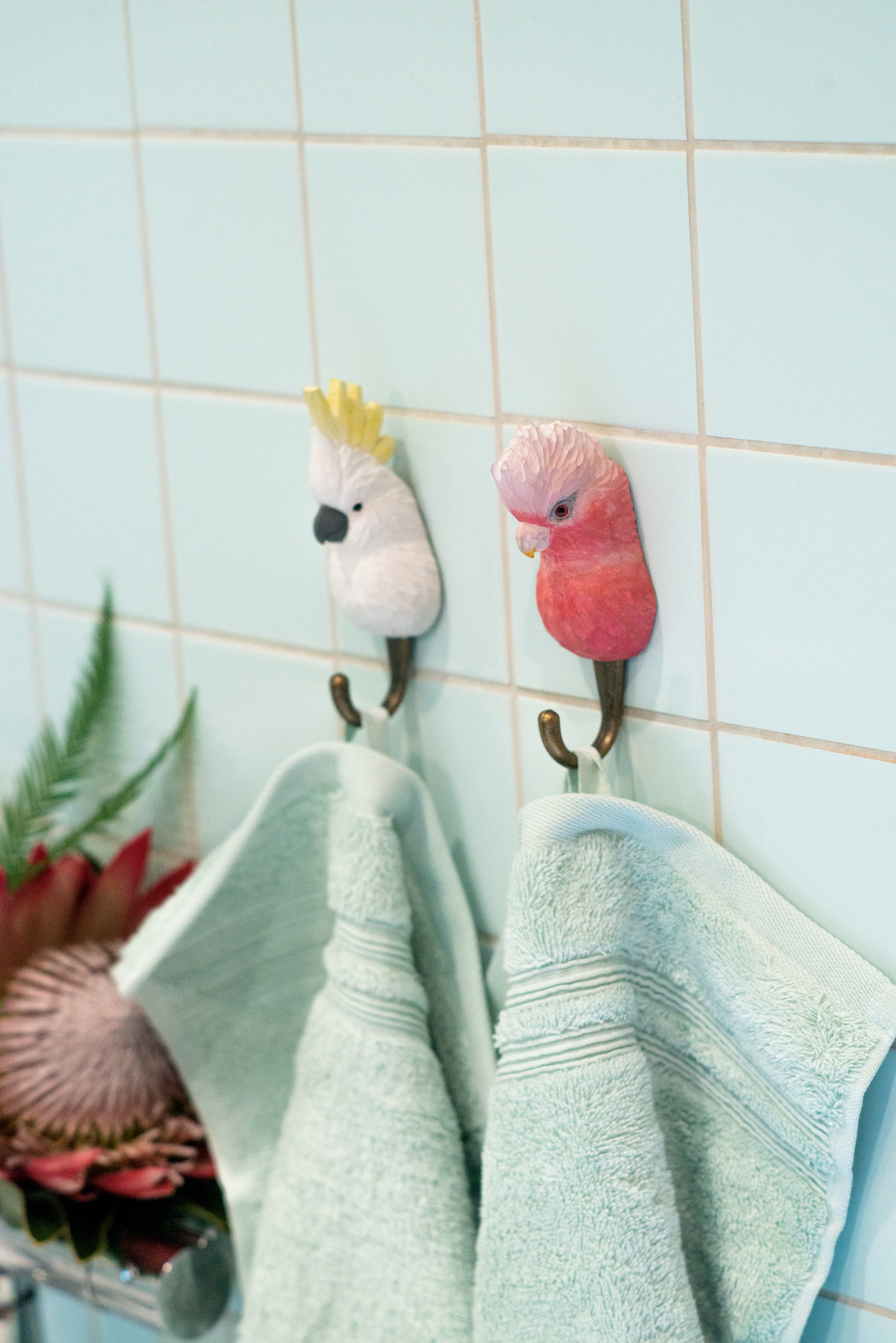 WG4529_4530_Hooks_Cockatoos_2_HighRes