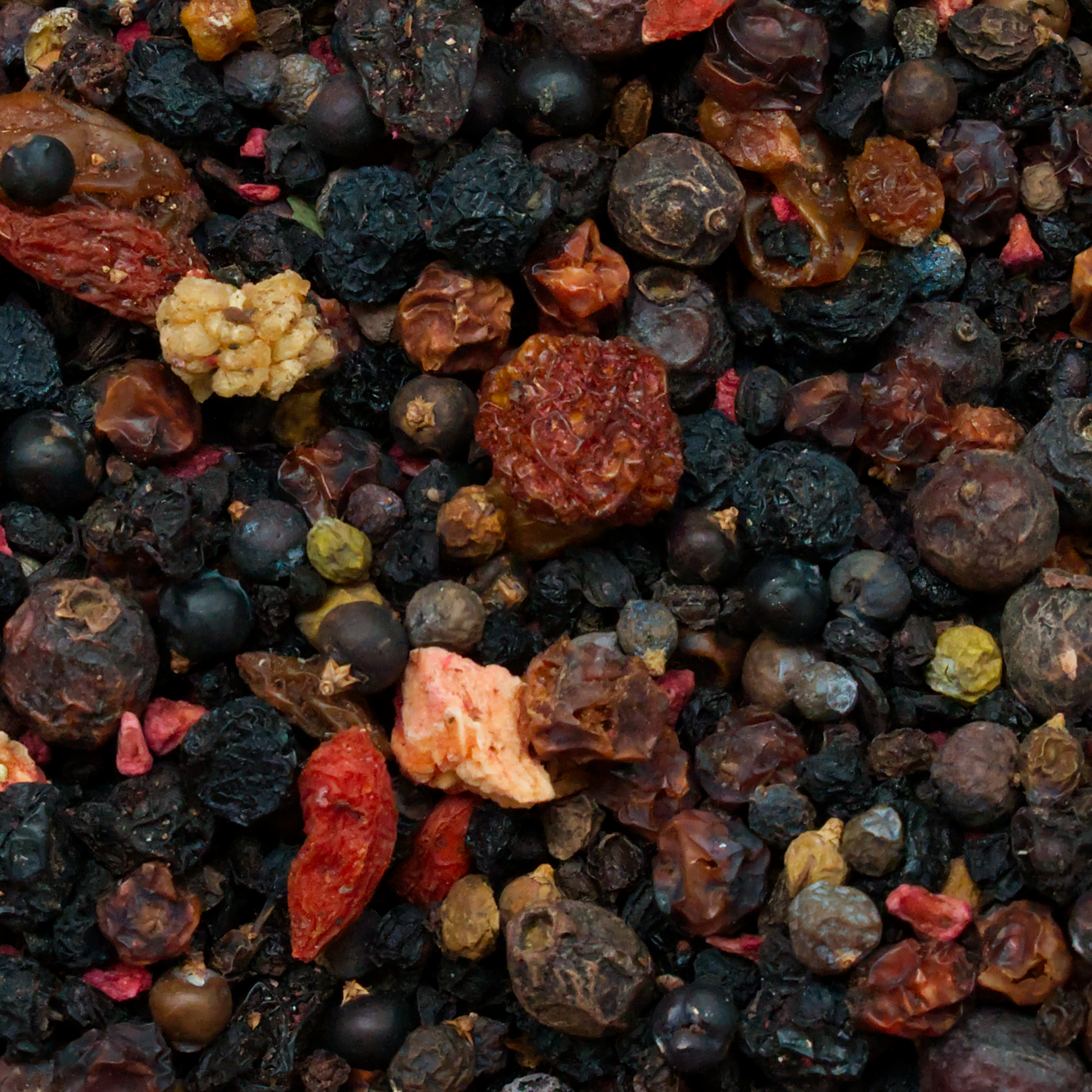 beeren-auslese-einzelfutter-koernerbude-voegel1PsbXDNu8OgB0s