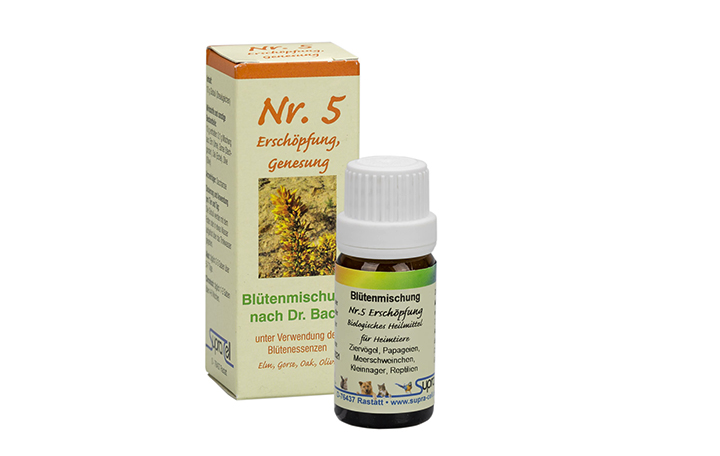 erschoepfung Nr. 5 Erschöpfung Bachblütenmischung 10g Globuli