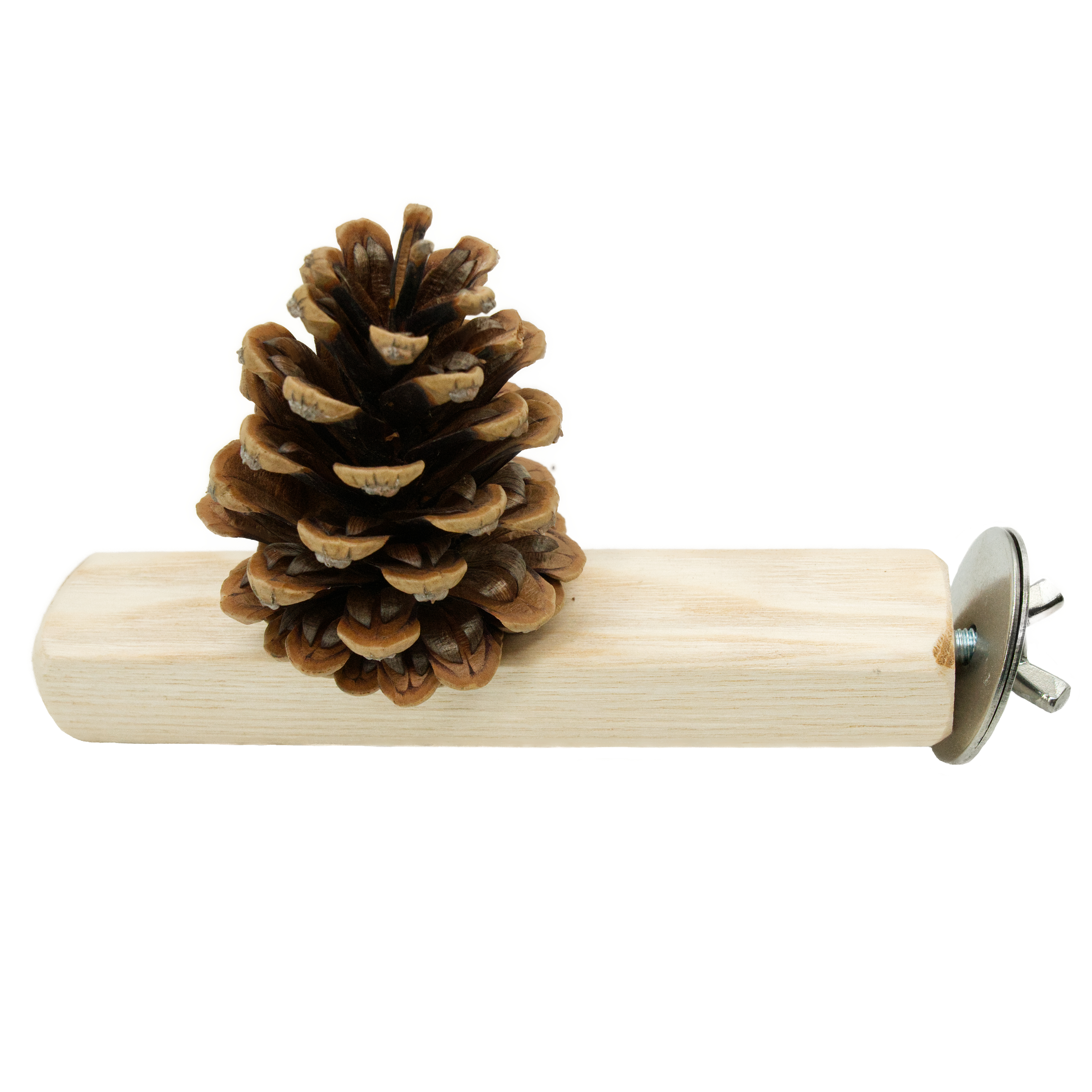 Welli Versteckzapfen als Leckerliversteck