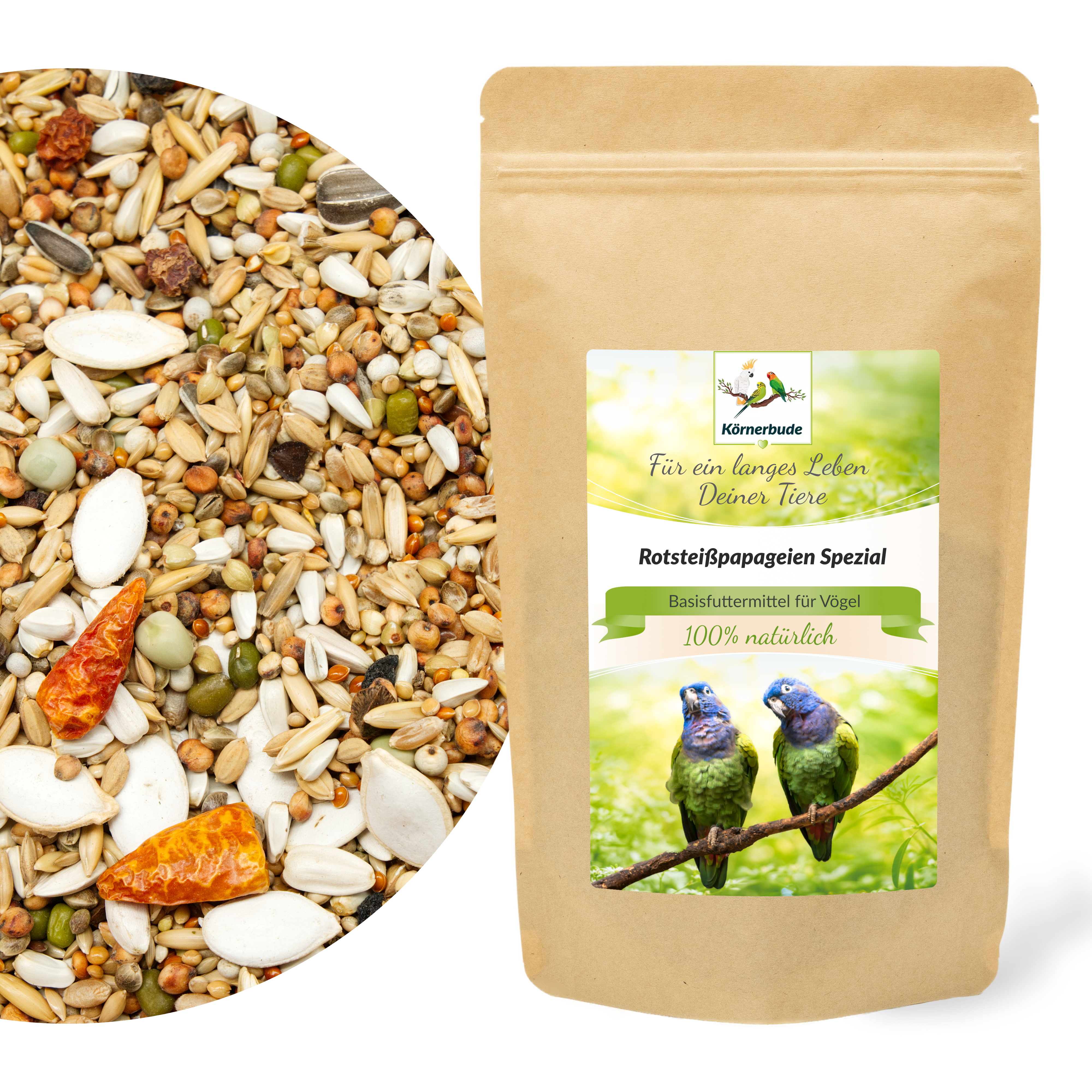 rotsteisspapageien_futter_koernerbude_shopbilder