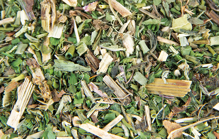 sittich_stark_makro Sittich-Stark, 100g