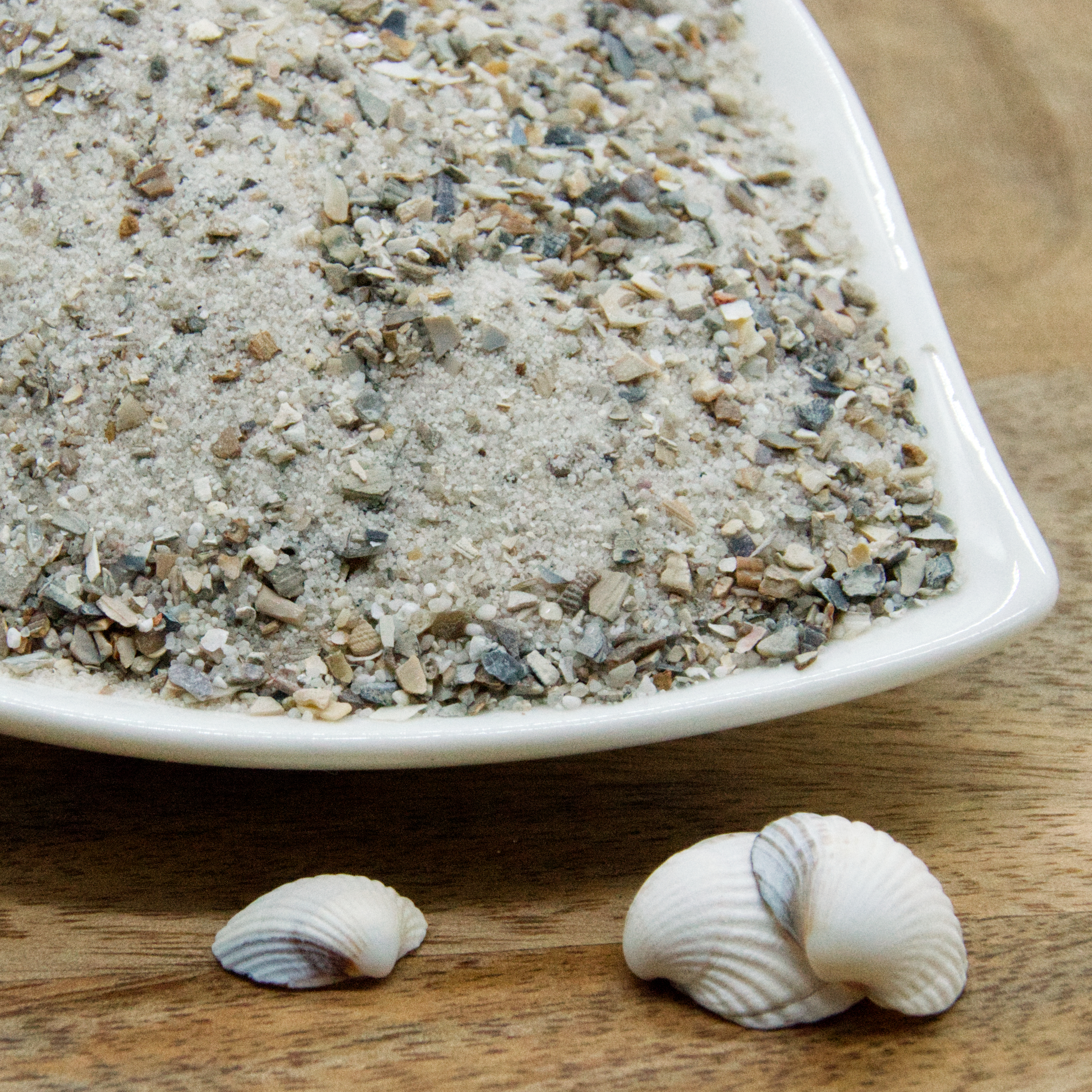 vogelsand_meeresbrise_fuer_voegel Vogelsand Meerbrise