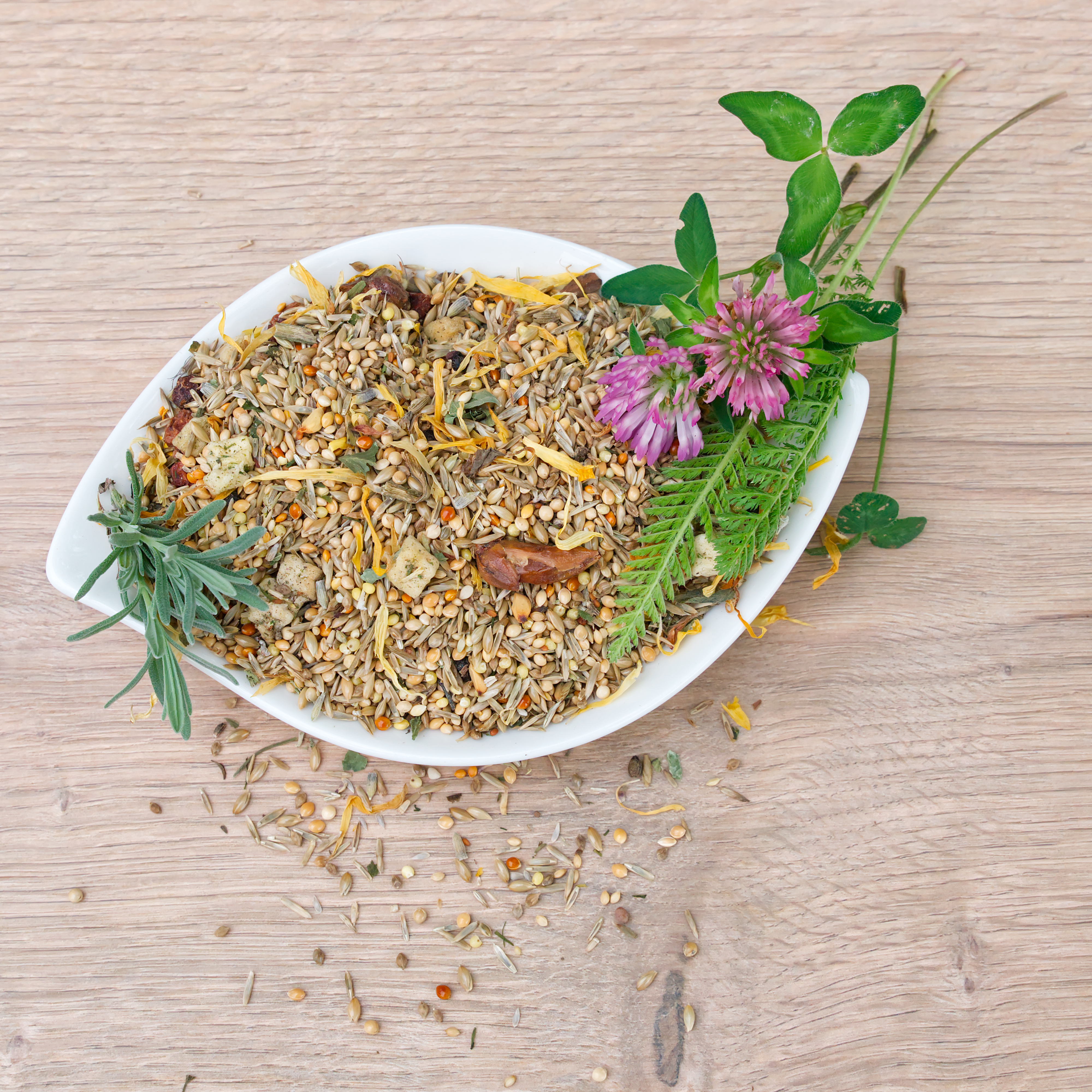 herbstmix_wellensittichfutter_koernerbude4