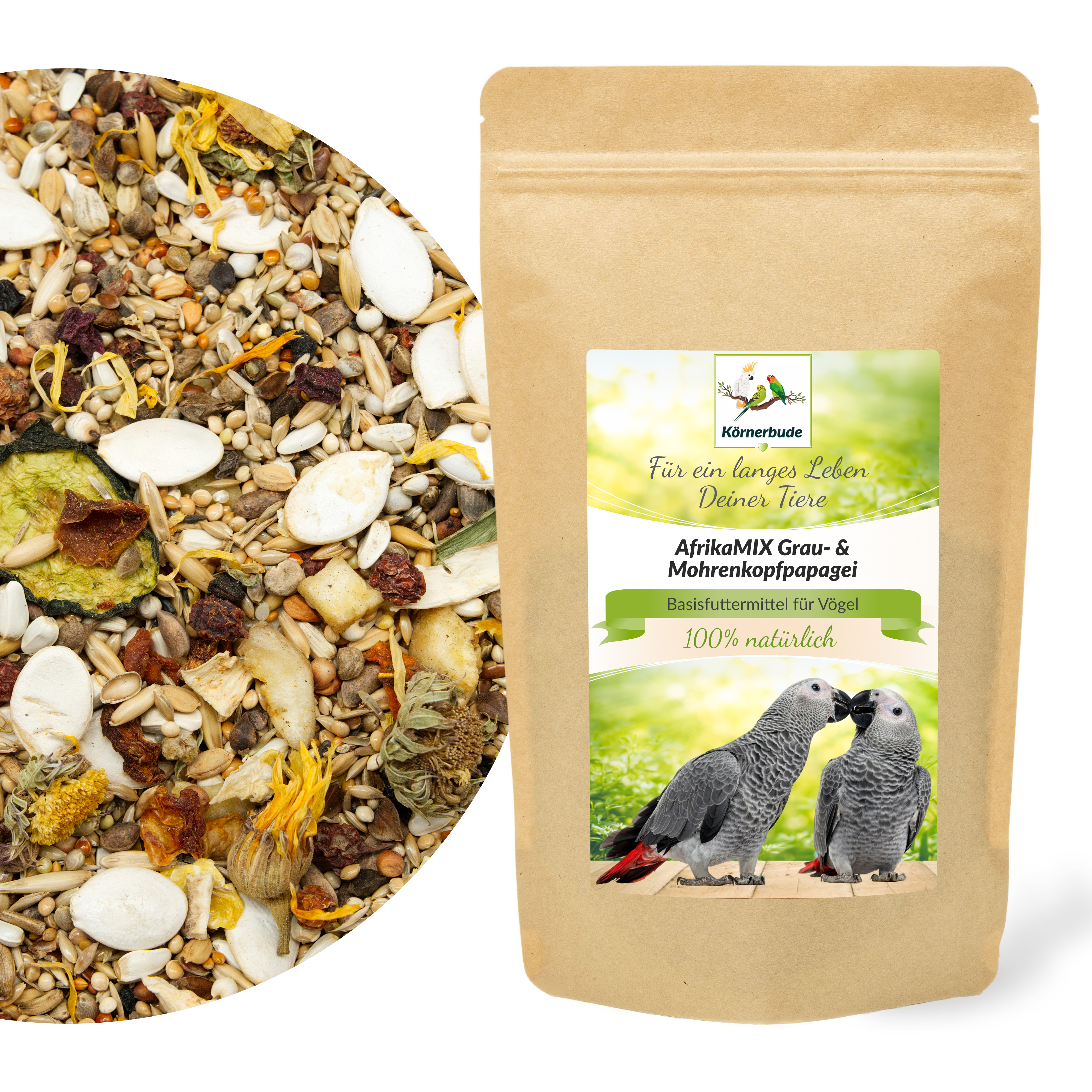 AfrikaMIX Graupapagei & Mohrenkopf