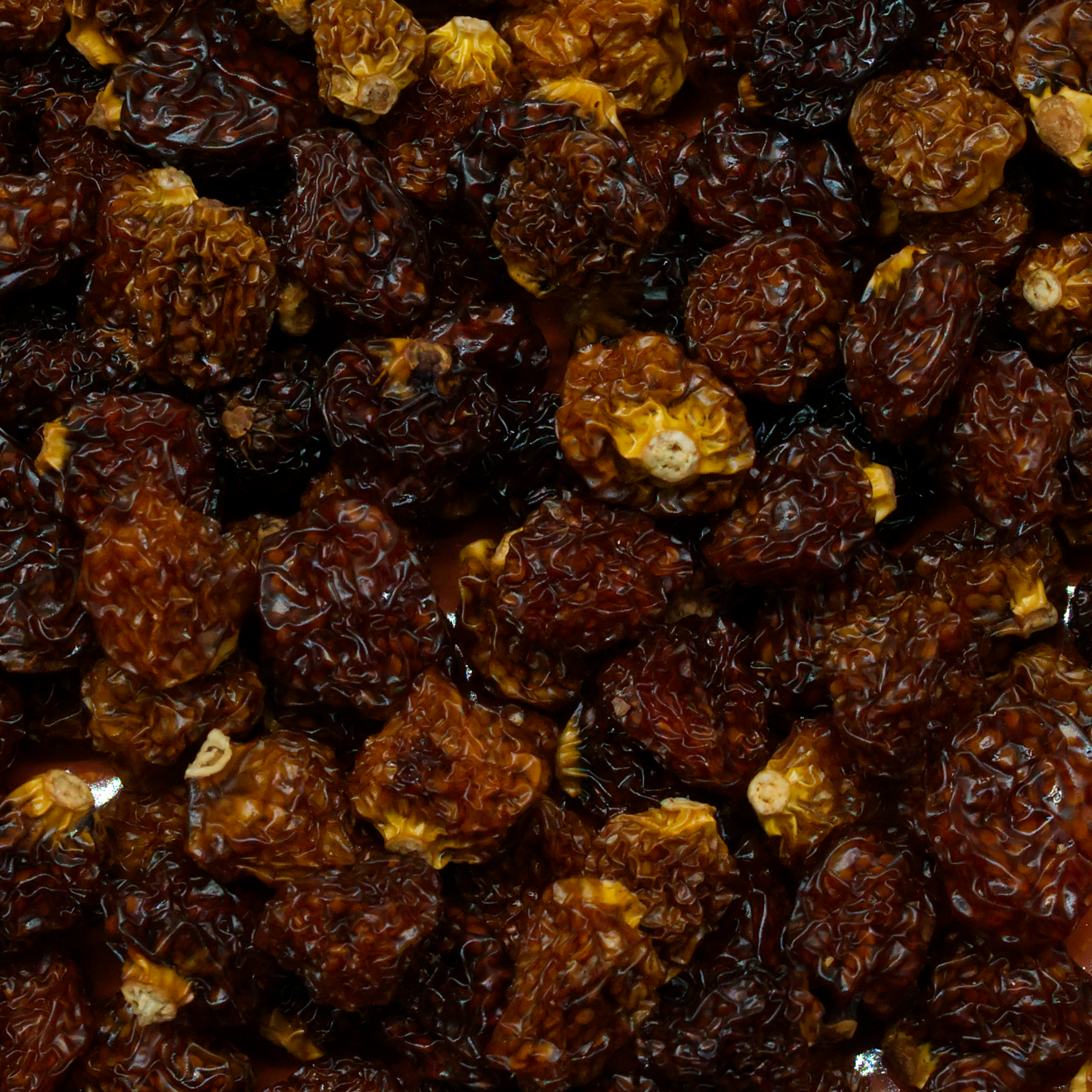 physalis-einzelfutter-koernerbude-voegel Kapstachelbeere/ Physalis