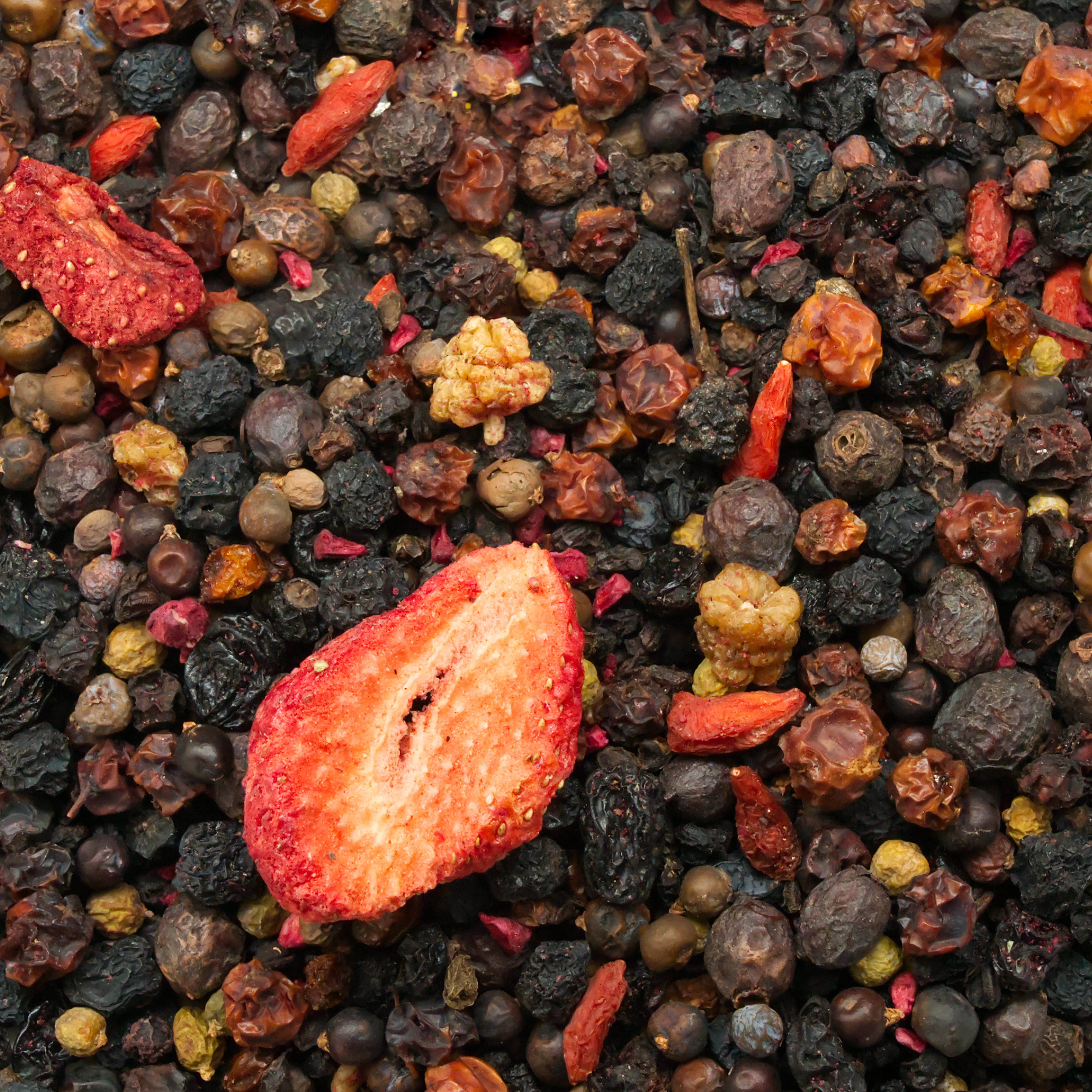 beeren_auslese_koernerbude_beeren_fuer_sittiche_und_papageiendhnNKYWnfiBkc Beeren Auslese 200g